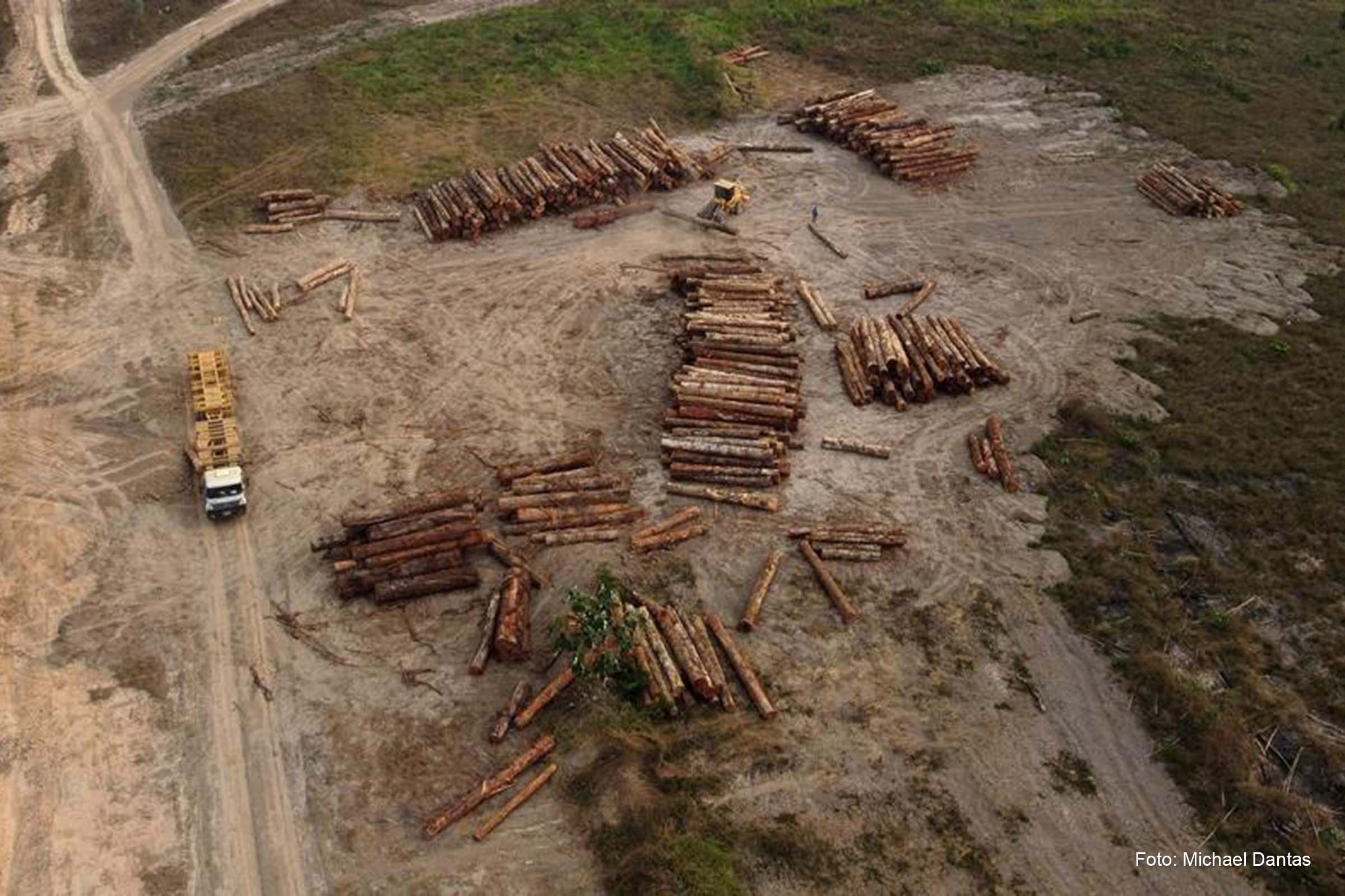 Com destruição de mais de 2 milhões de hectares, desmatamento no Brasil aumentou 22,3% no ano passado, aponta MapBiomas.