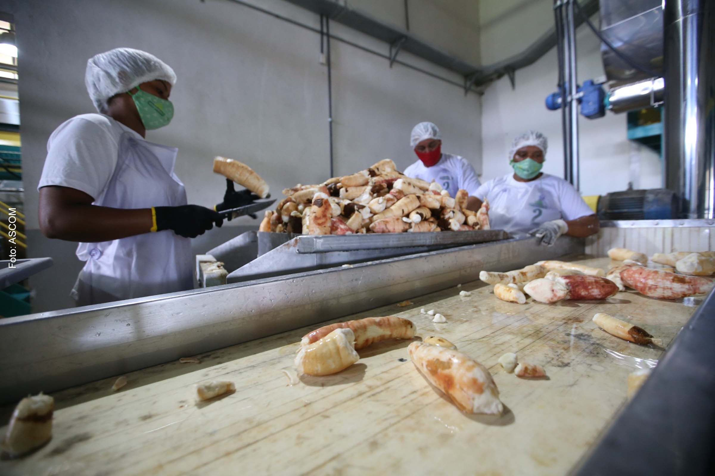 Cooperativas da agricultura familiar da Bahia acessam capital de giro e incrementam produção