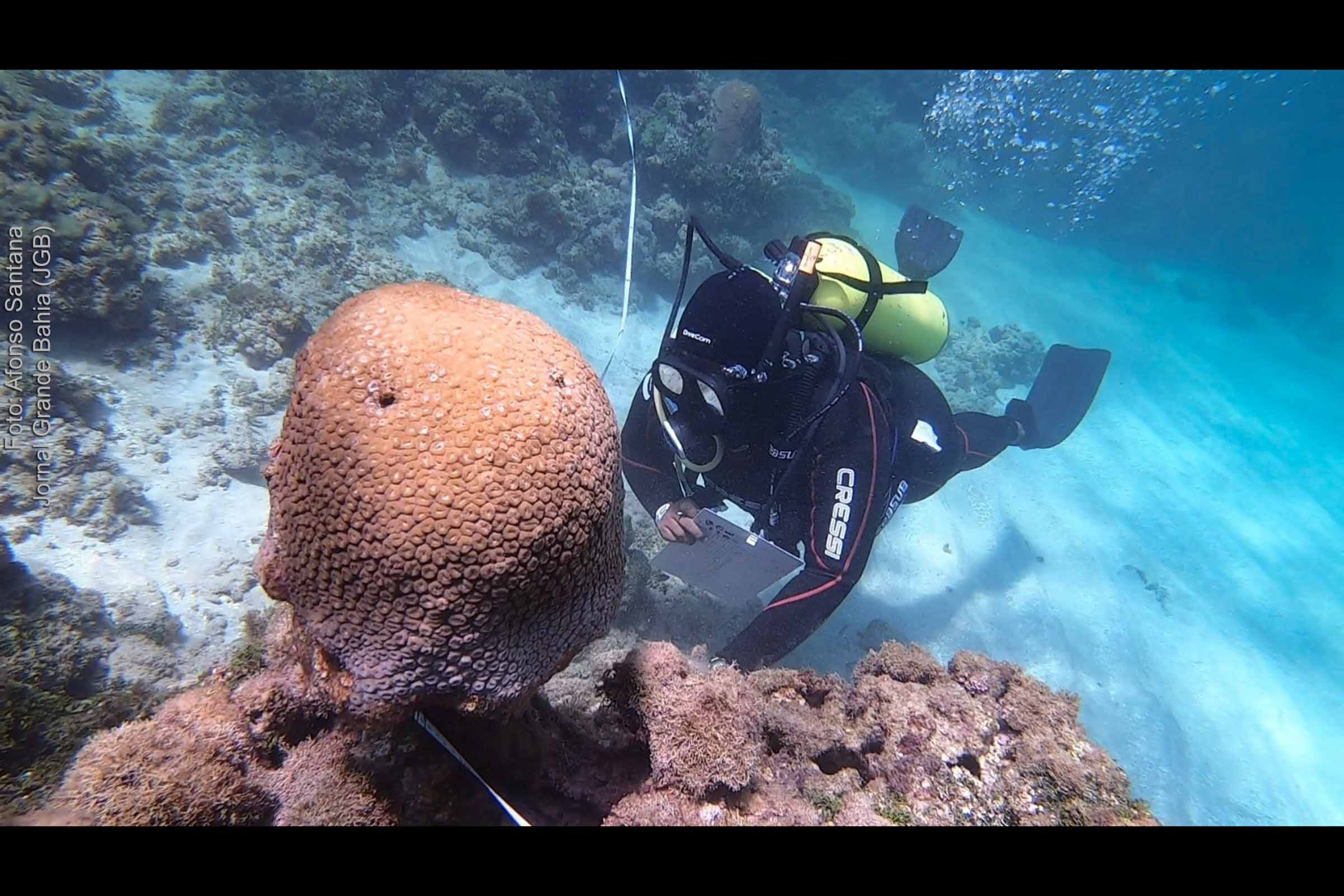 Iniciativa na Baía de Todos os Santos promove restauração dos recifes da APA das Pinaúnas