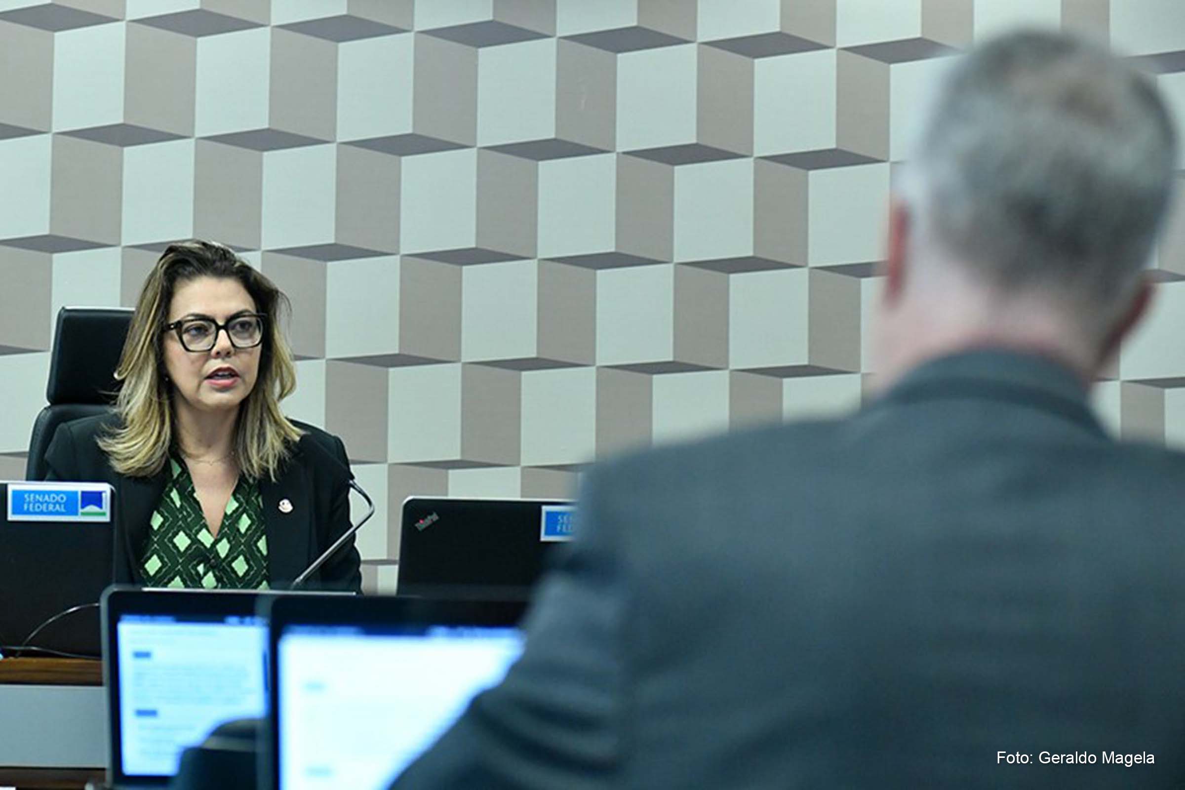 A audiência pública na Comissão de Meio Ambiente foi presidida por Leila Barros.