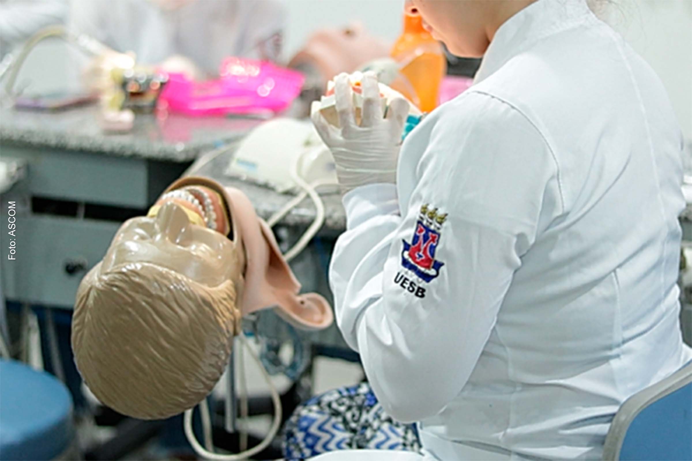 Pesquisa da UESB revela que camomila pode ser usada no combate à infecção oral