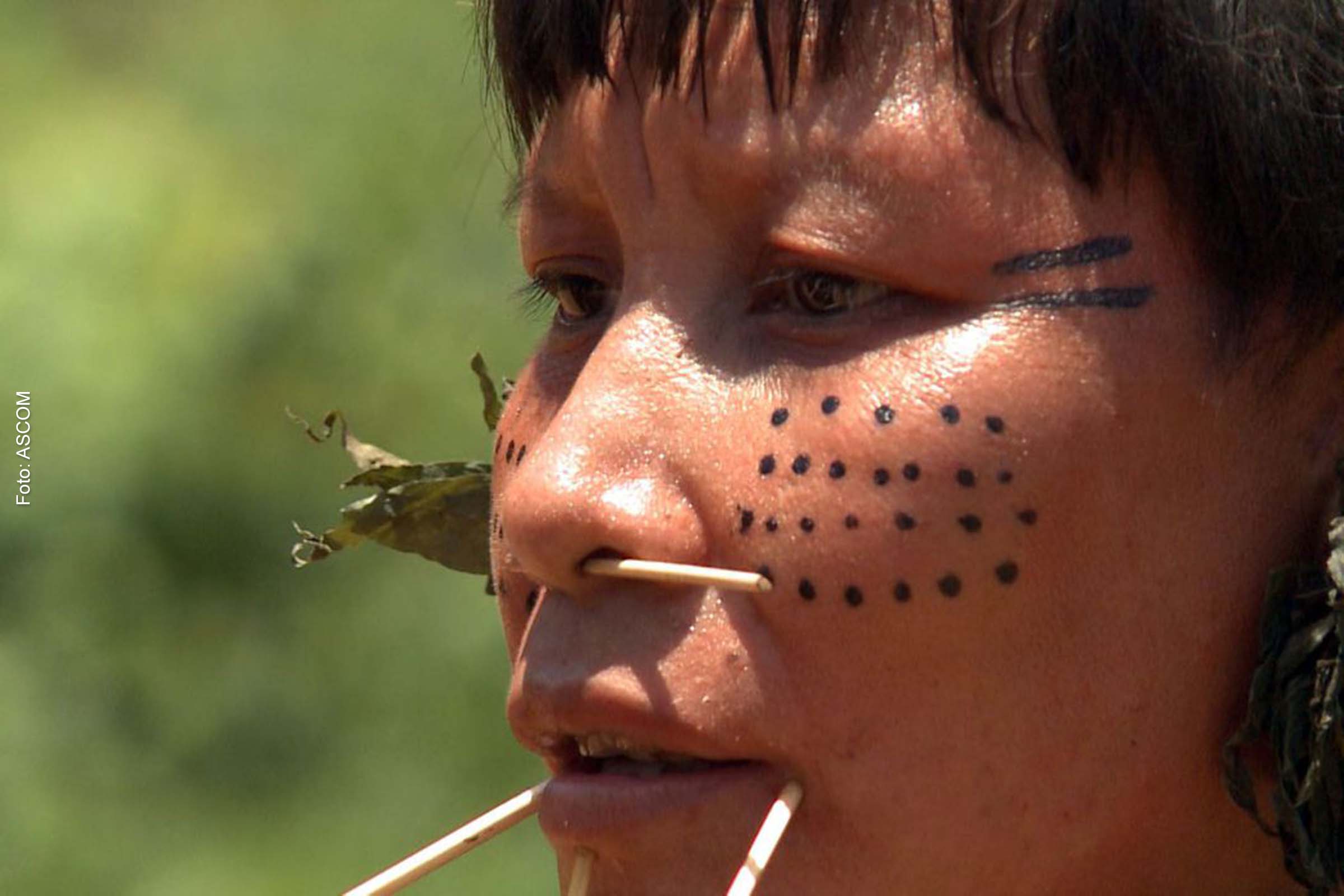 Observatório identifica 42 políticos com fazendas em terras indígenas