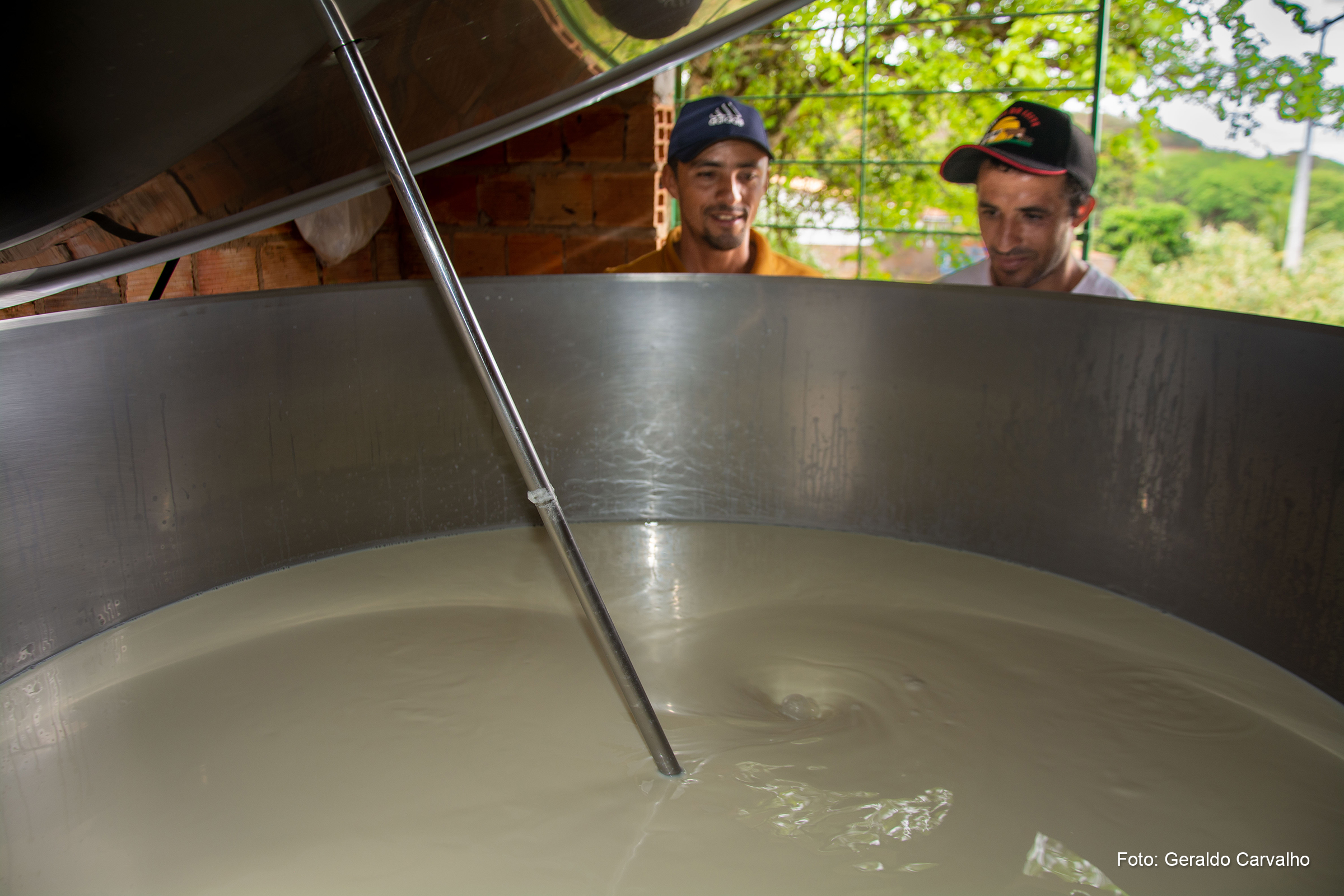 Tecnologias e assistência técnica transformam a produção de leite na agricultura familiar da Bahia