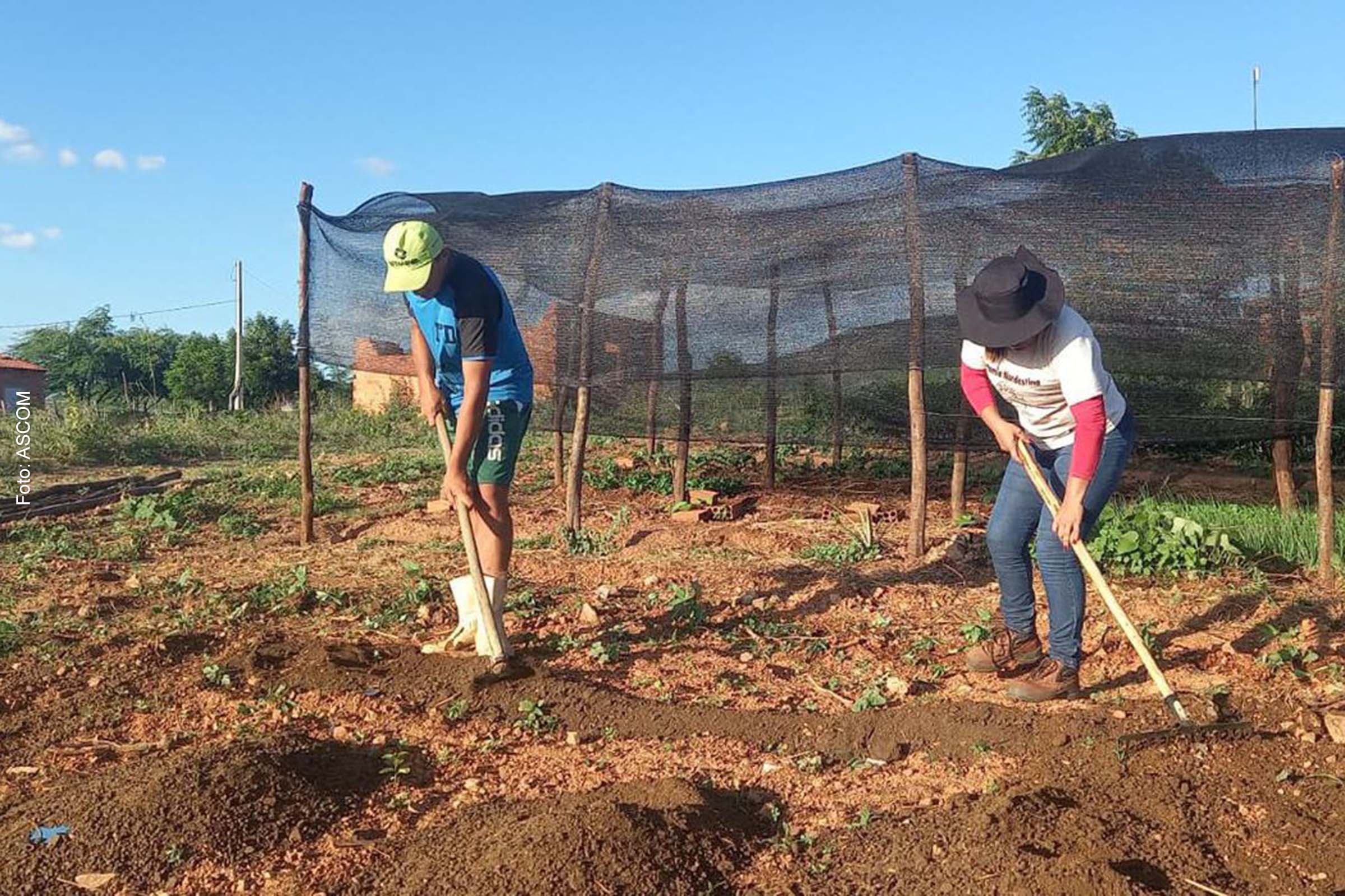A Contag havia pedido uma taxa de juros de 2% ao ano para produção de alimentos como arroz, feijão, mandioca, tomate, leite e ovos.