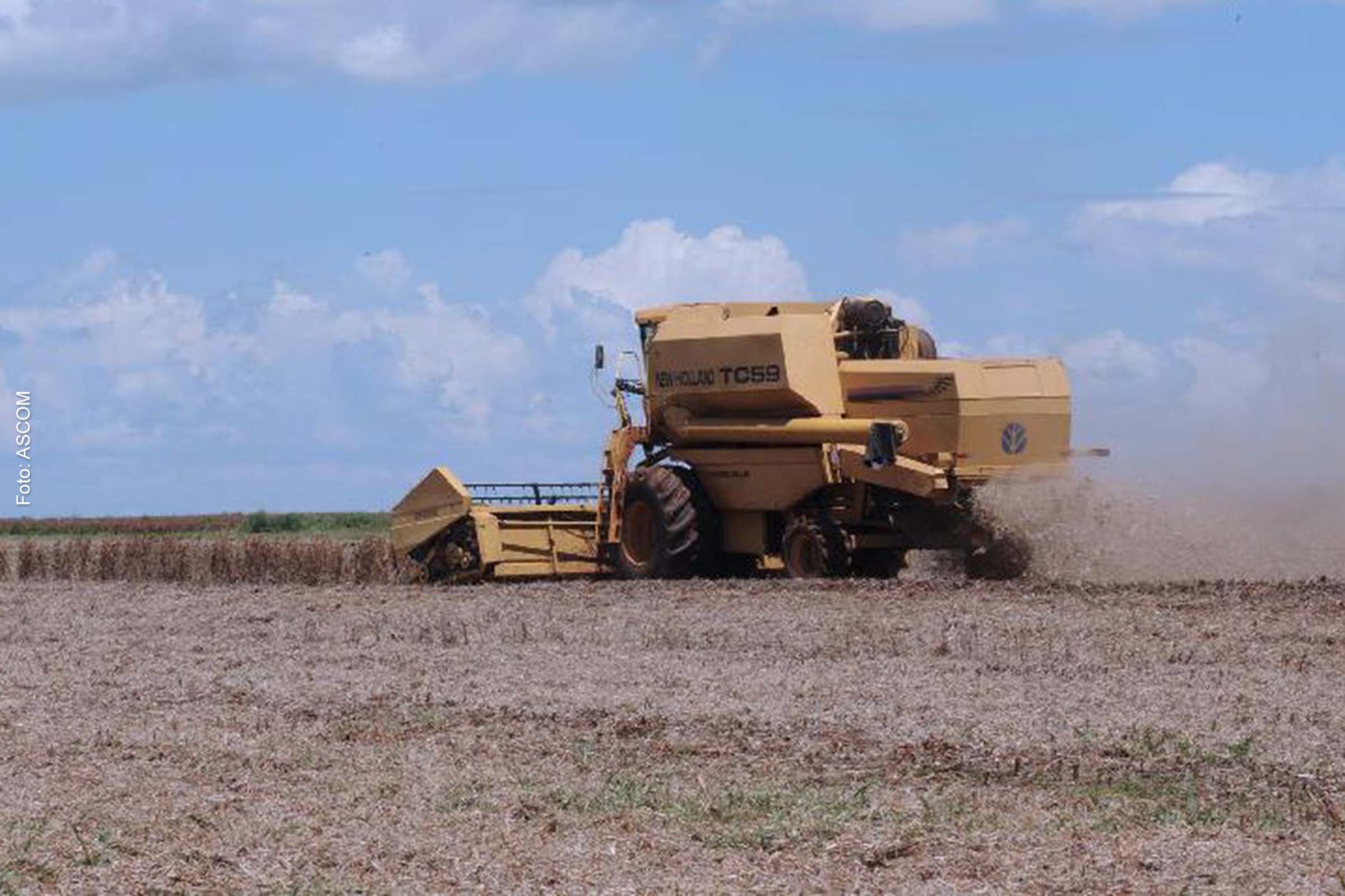 Resultado representa crescimento de 4,2% em relação ao mesmo período do ano anterior, segundo IPEA.