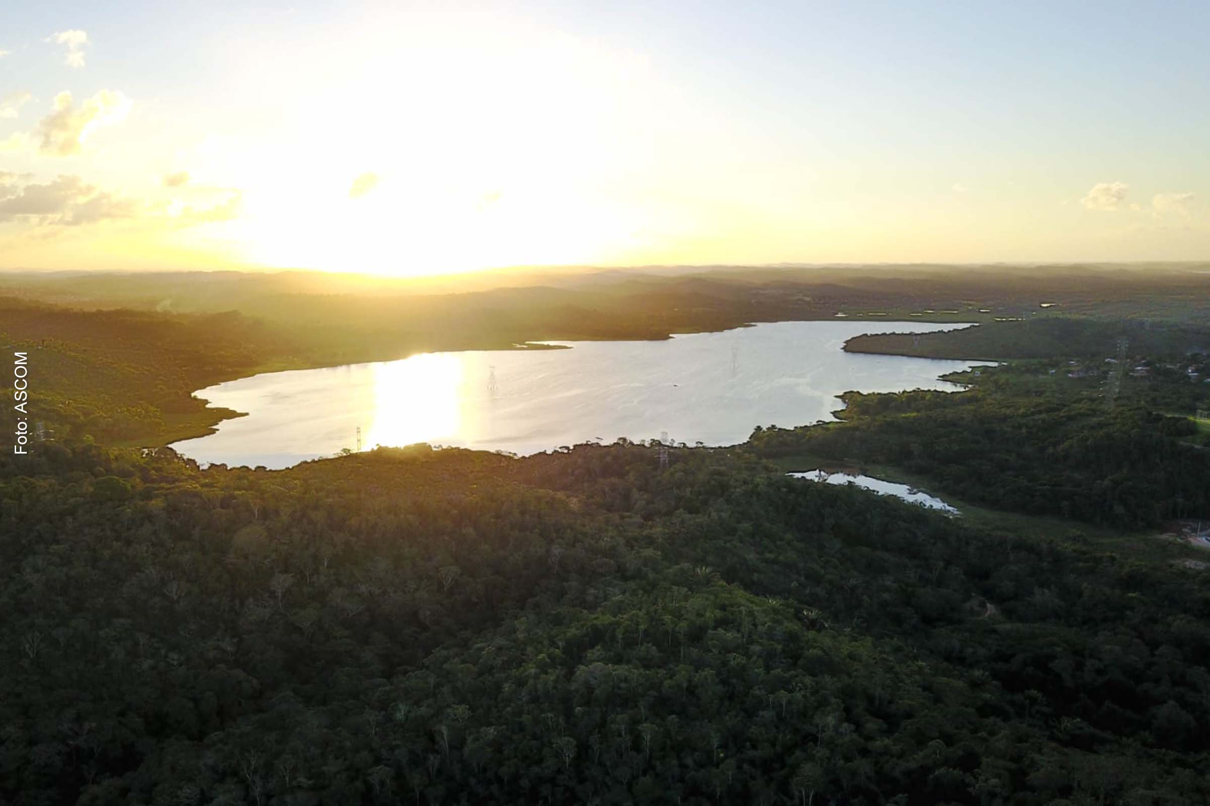 Investimento bilionário da BYD em Camaçari anima o setor imobiliário na região