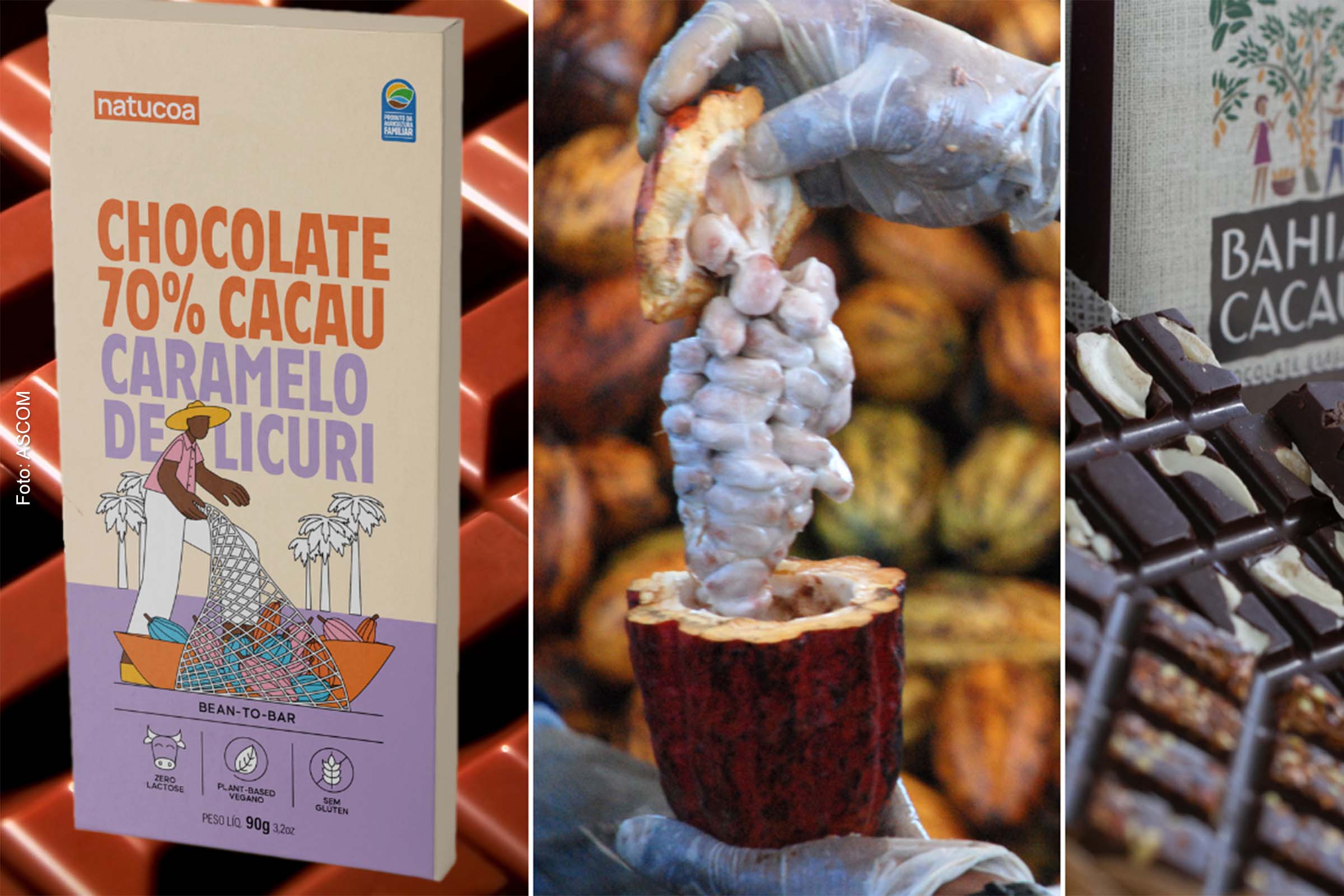 Chocolates da Agricultura Familiar marcam presença na Chocolat Bahia 2023 em Ilhéus