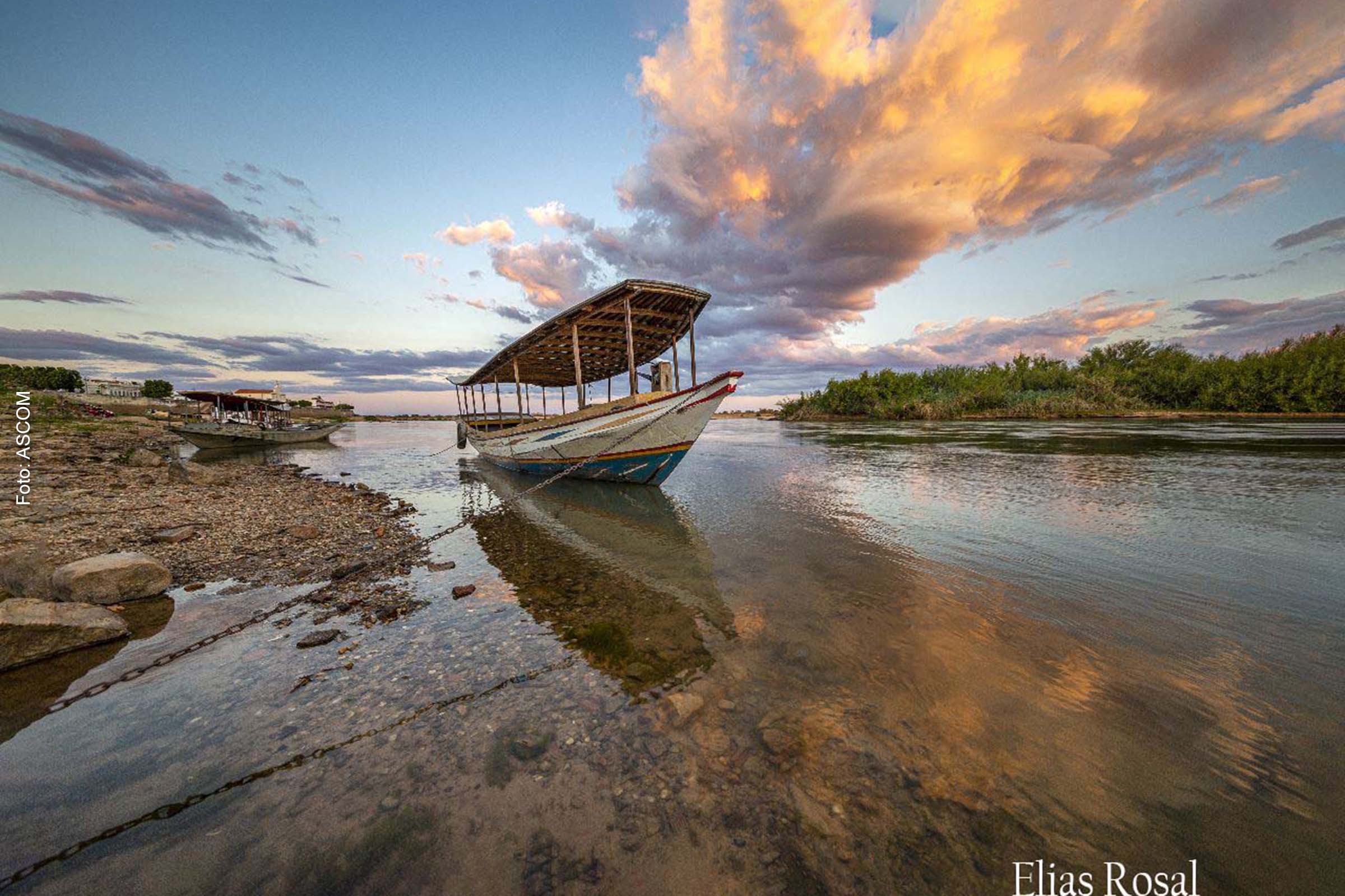 Exposição está sendo realizada no Barra Gourmet do Shopping Barra, L1, um local que une sofisticação e acessibilidade.