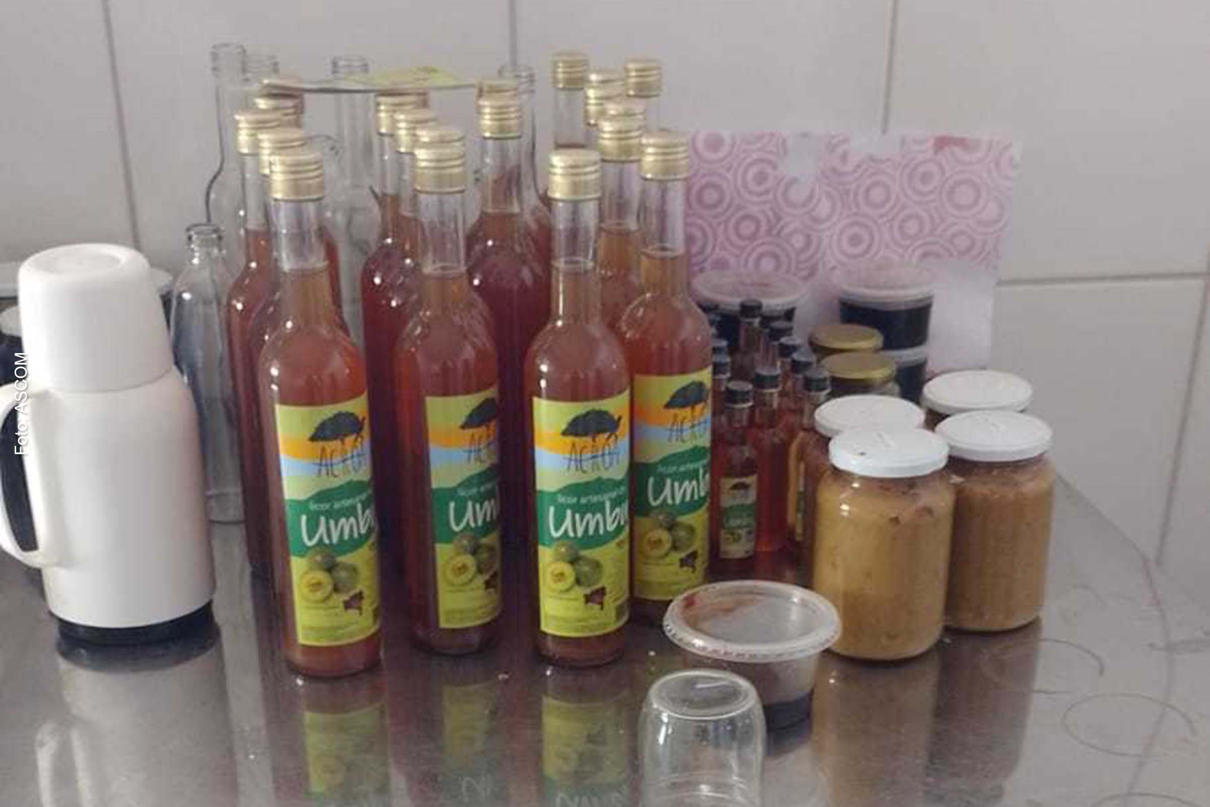 Nova agroindústria de frutas vai triplicar produção de agricultores familiares do Sertão Produtivo em Urandi