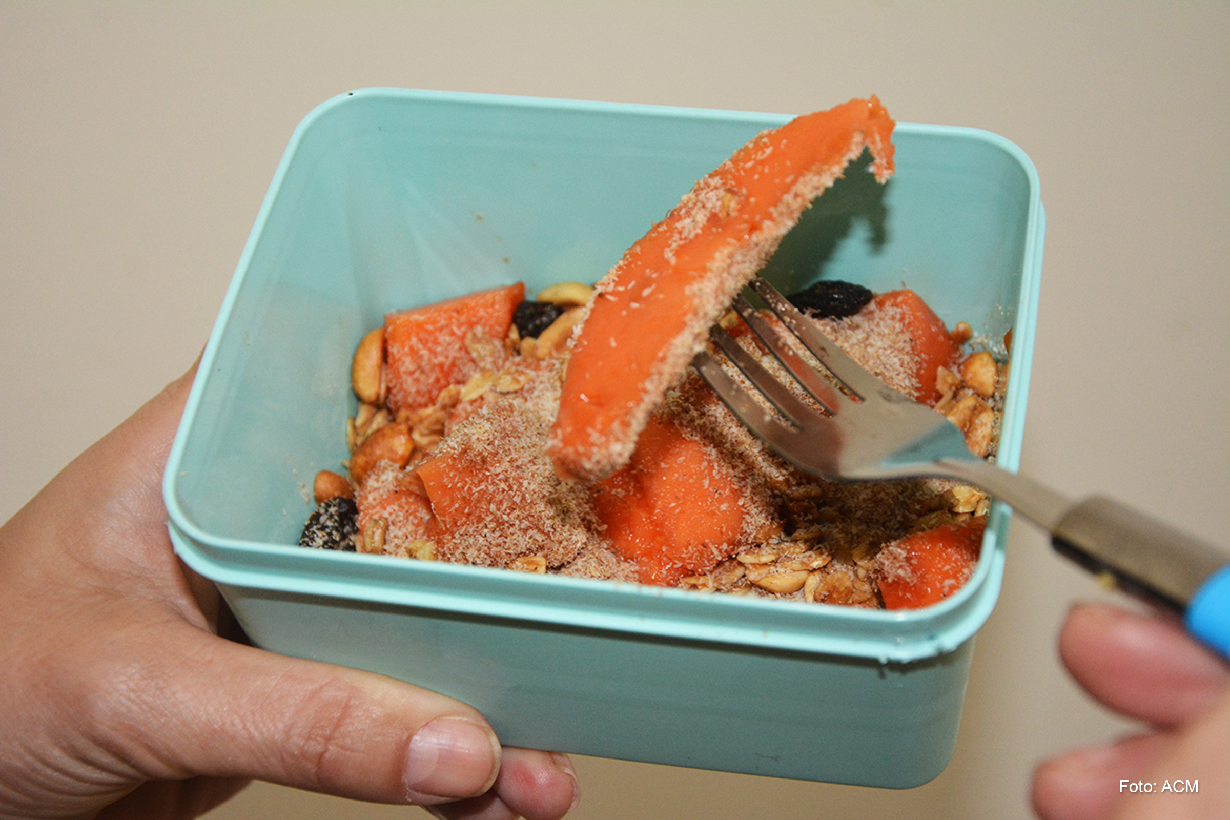 Ácido fólico, cálcio, vitaminas B12, zinco e ômega-3 são componentes vitais na gestação.