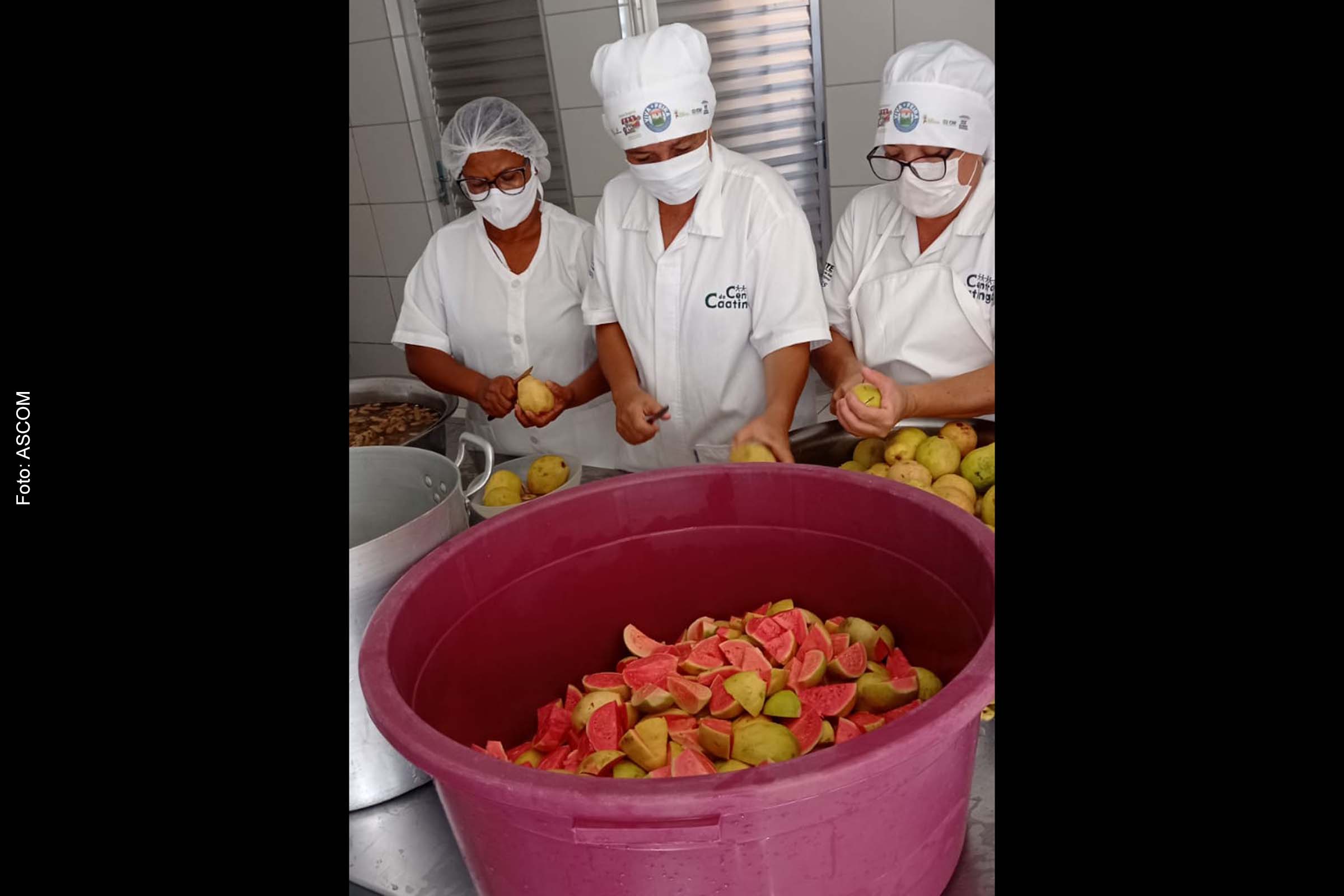 Atualmente, a produção mensal de polpa de frutas está em torno de 530 quilos, com uma capacidade diária de produção de 200 quilos.