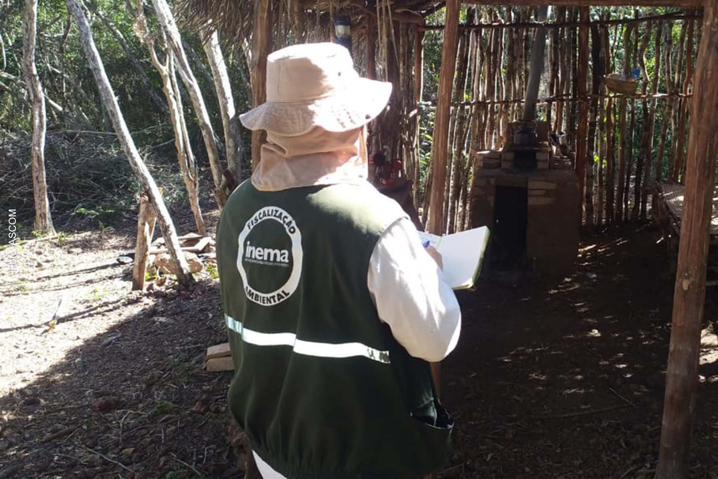 Monitoramento contínuo e a fiscalização são essenciais para garantir a proteção desse patrimônio natural.