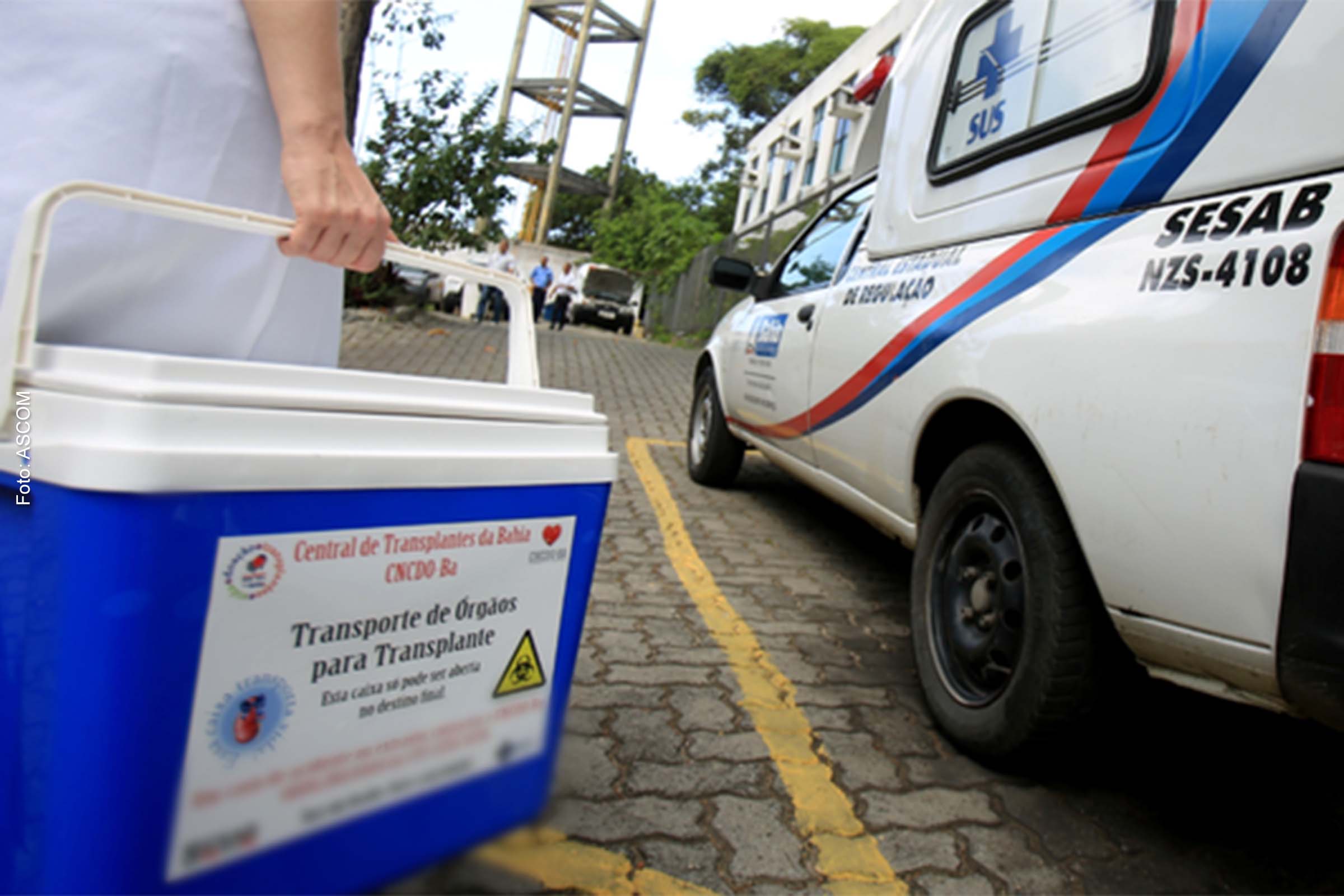 Ditam a ordem na lista de espera critérios como: disponibilidade do órgão, compatibilidades sanguínea, física e gravidade do paciente.