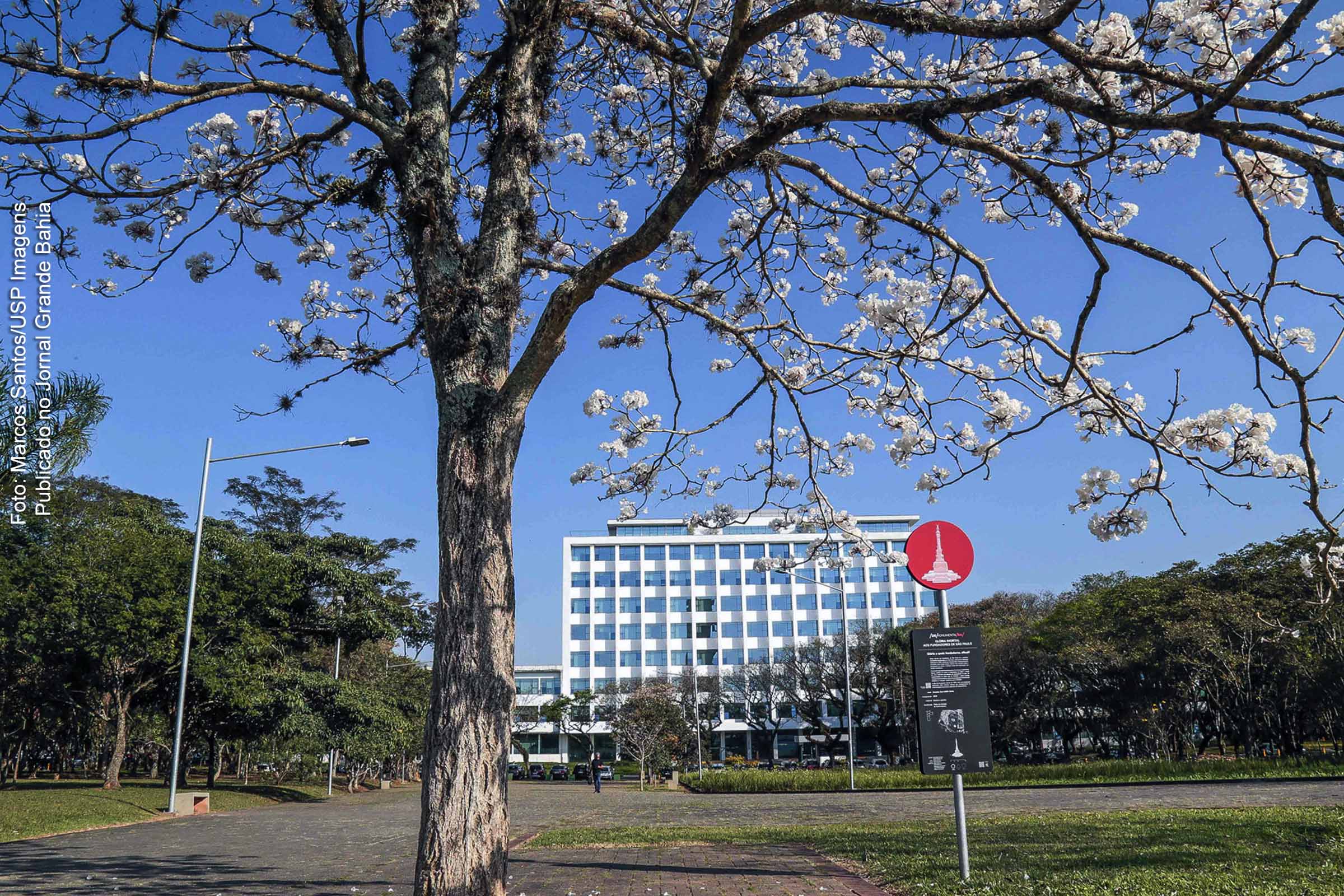 Pesquisa revela como o racismo influenciou a fundação da Universidade de São Paulo