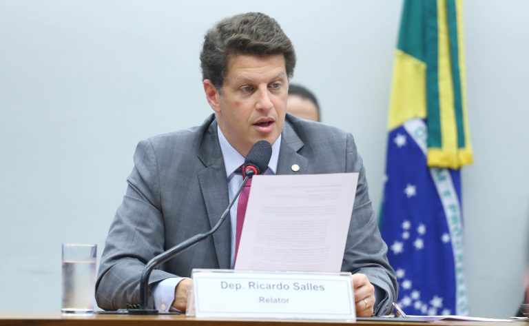 Ricardo Salles, relator da CPI do MST. (Foto: Vinicius Loures/Câmara dos Deputados)