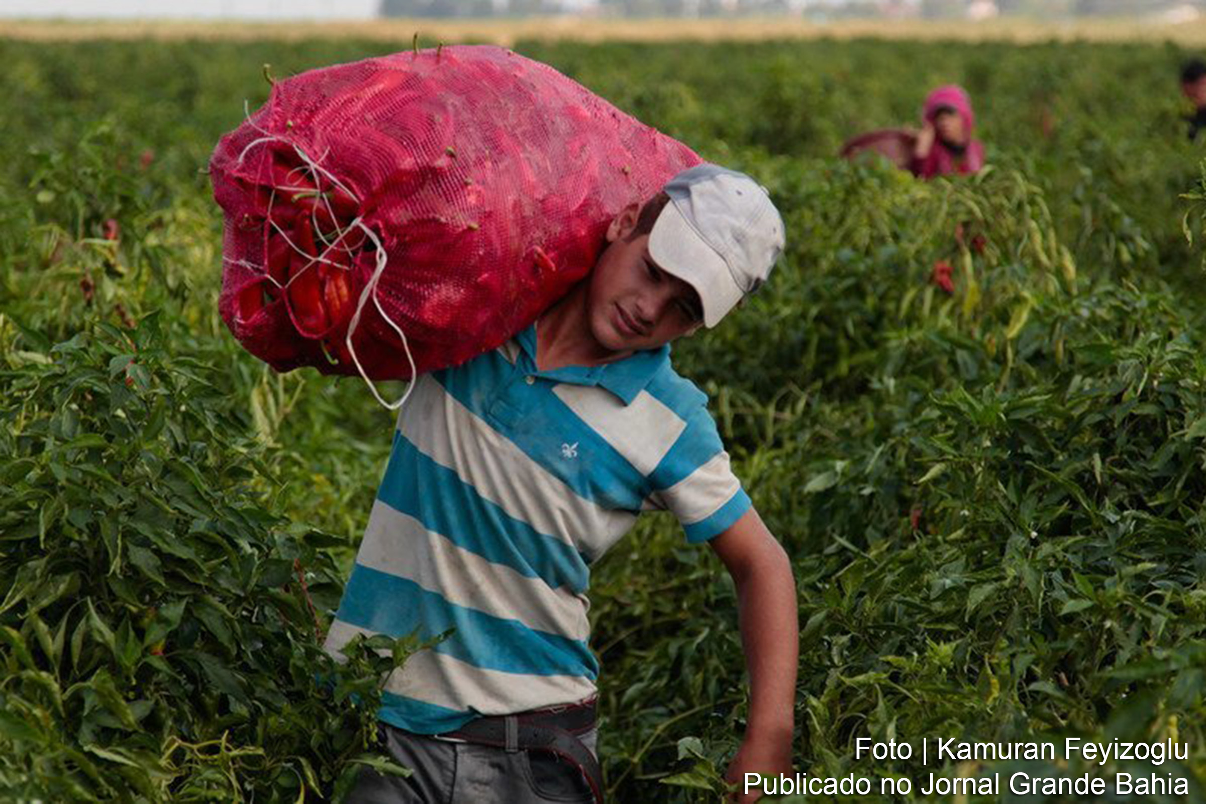 Acordo histórico fortalece resiliência climática para 1 milhão de brasileiros