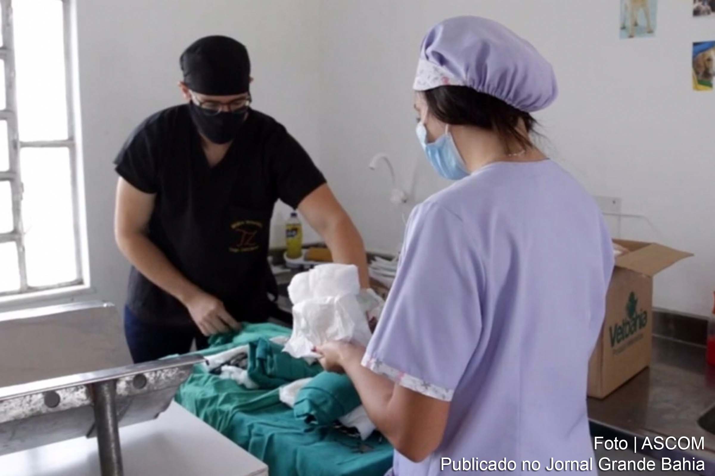 Iniciativa, realizada pela Prefeitura, visa castrar cerca de 1.250 animais.