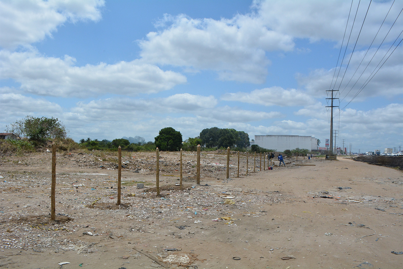 De acordo com a Lei nº 3.245, é responsabilidade dos proprietários manterem terrenos limpos. (Foto: Valdenir Lima/PMFS)