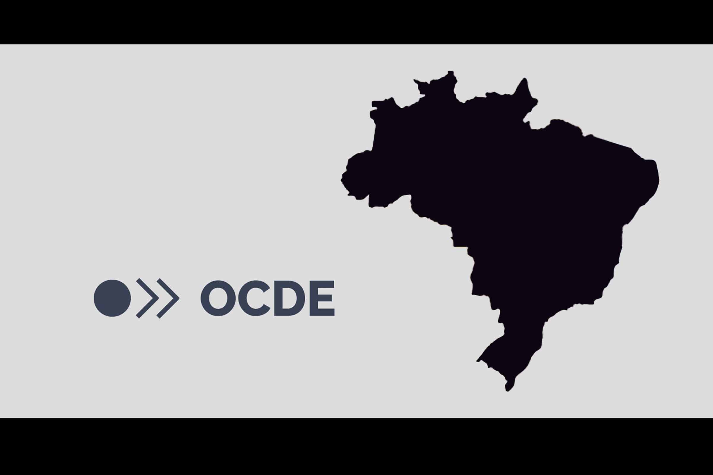 Relatório da OCDE destaca falta de condenações definitivas e preocupa-se com decisão judicial que anulou provas no Brasil.