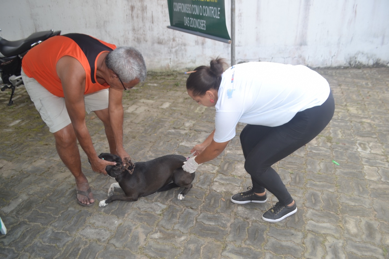 A vacinação anual é direcionada a animais com três meses de idade ou mais. (Foto: Divulgação/SMS)