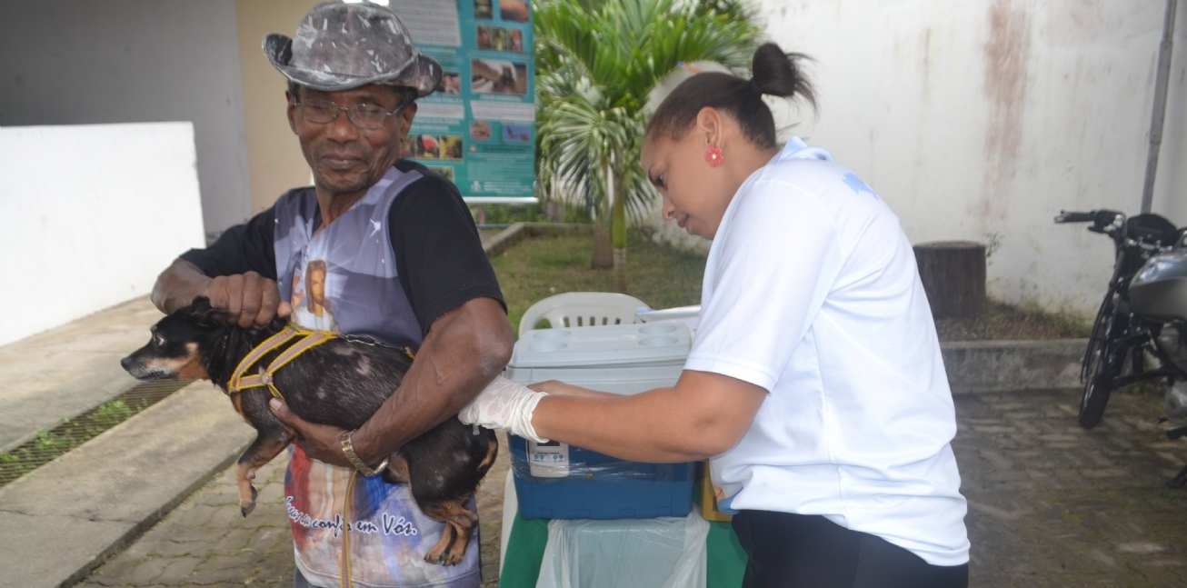 Secretaria da Saúde alerta para cuidados com animais e intensifica vacinação em bairros afetados. (Foto: Divulgação/SMS)