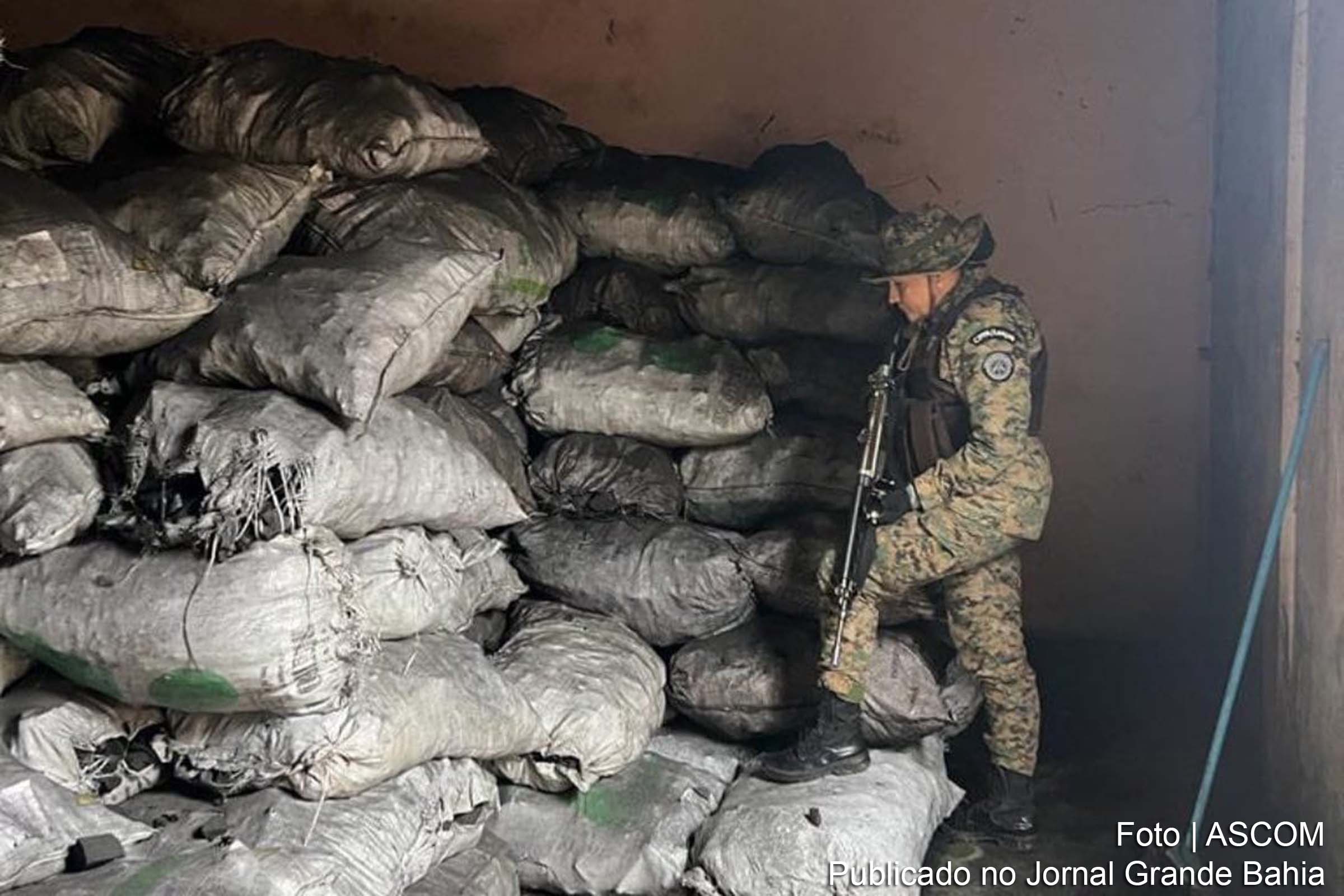 As ações aconteceram durante ações de combate a crimes ambientais realizadas no Oeste e Sudoeste do Estado.