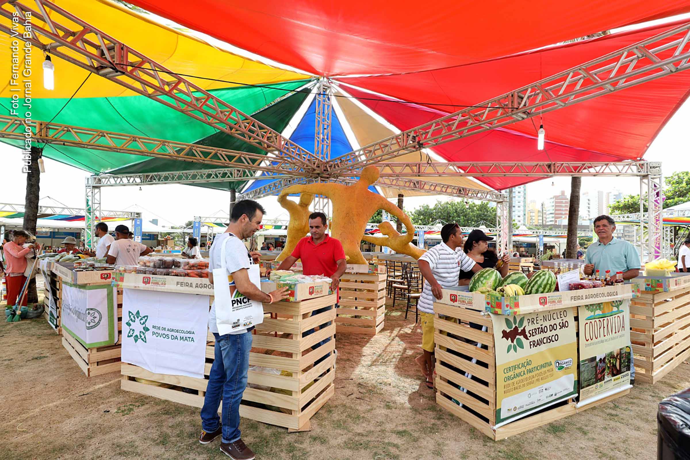 14ª Feira Baiana da Agricultura Familiar e Economia Solidária destaca diversidade cultural e gastronômica com produtos de 27 territórios baianos e outros estados.