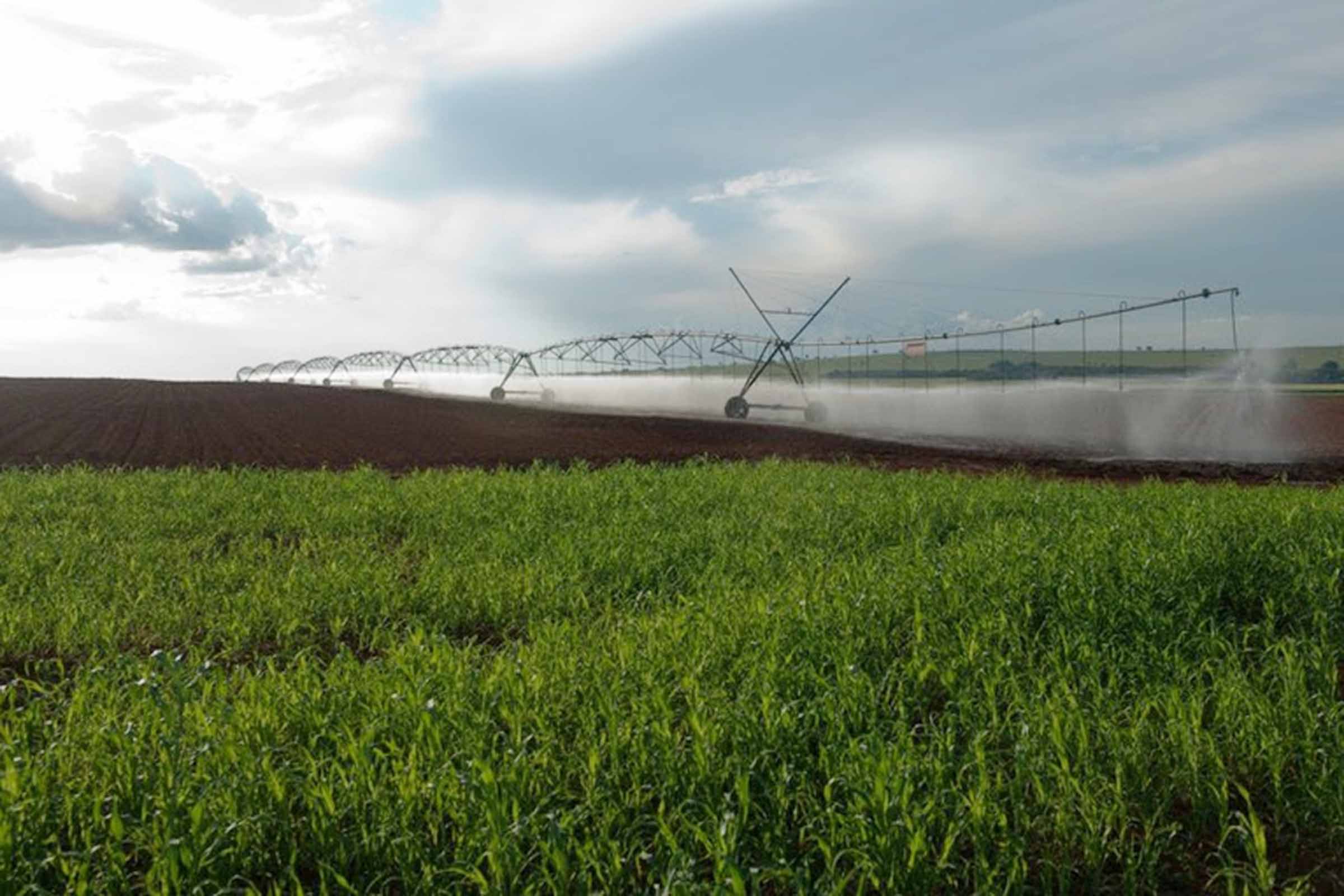 BNDES amplia recursos disponíveis para crédito no setor agropecuário até junho de 2024.