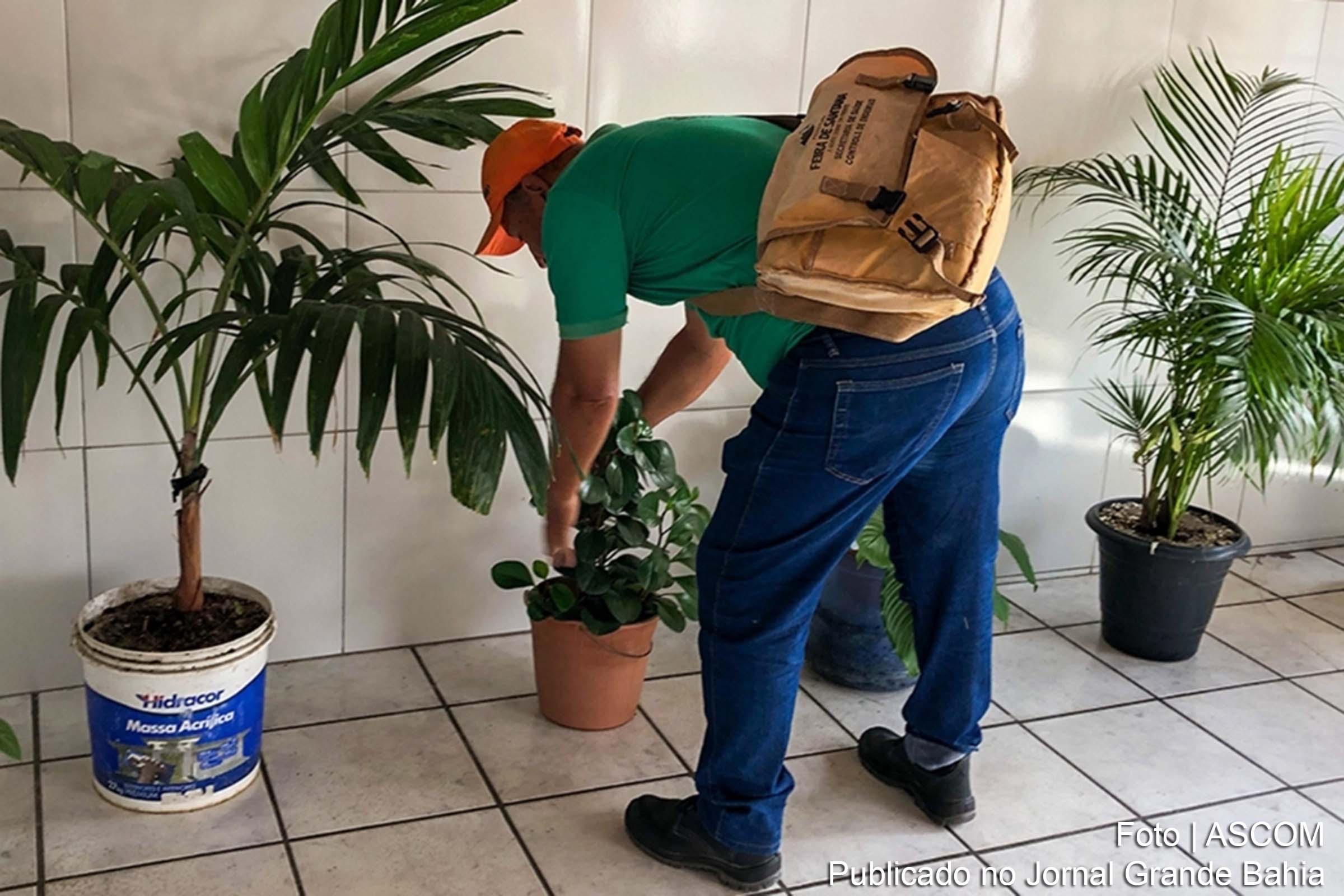 População deve estar atenta para evitar proliferação do mosquito transmissor.