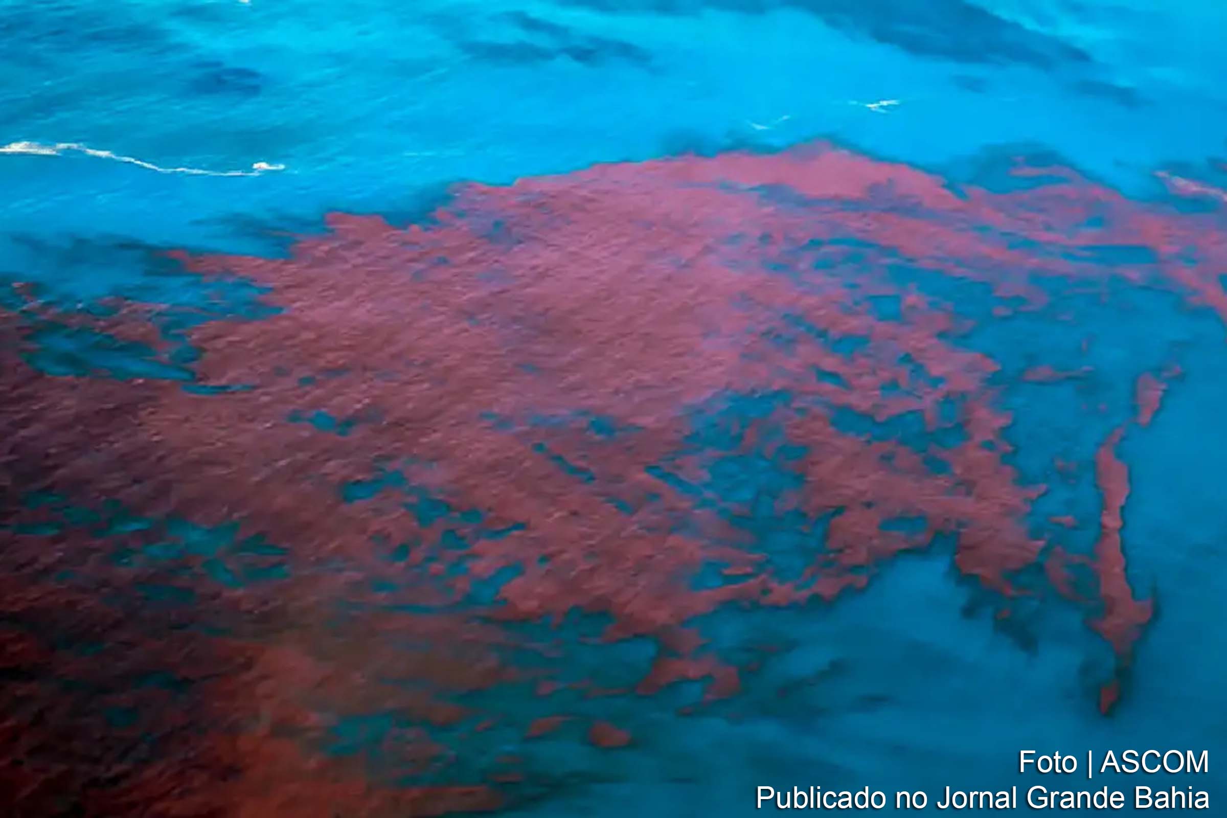 Secretaria de Saúde pede atenção aos banhistas e frequentadores de praias diante de novos casos suspeitos.