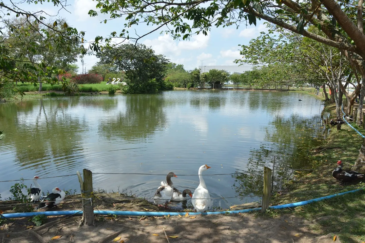 Parque da Lagoa está temporariamente fechado devido às fortes chuvas e pontos alagados.