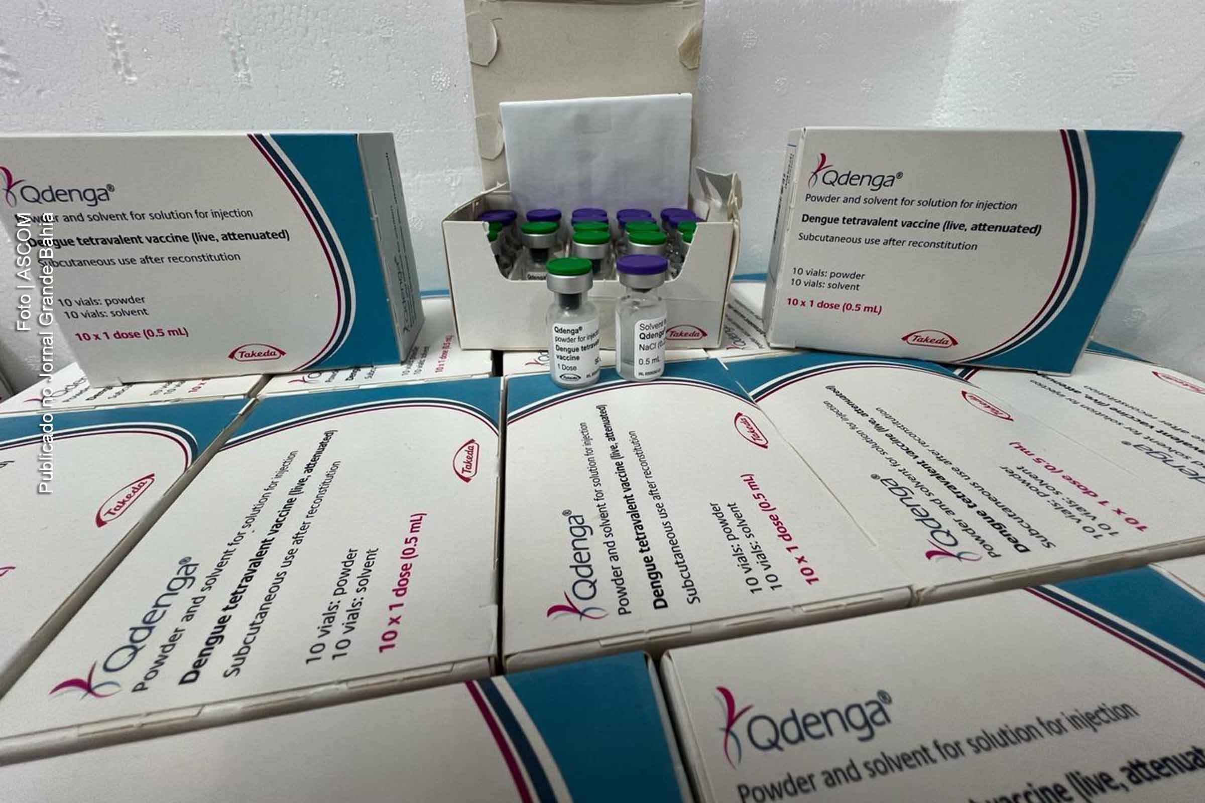 A Secretária da Saúde, Roberta Santana, comemora a chegada das 70.368 mil doses da vacina contra a dengue, destinadas inicialmente a 10 municípios da Bahia. A ação visa conter a epidemia que afeta 13 localidades no estado.