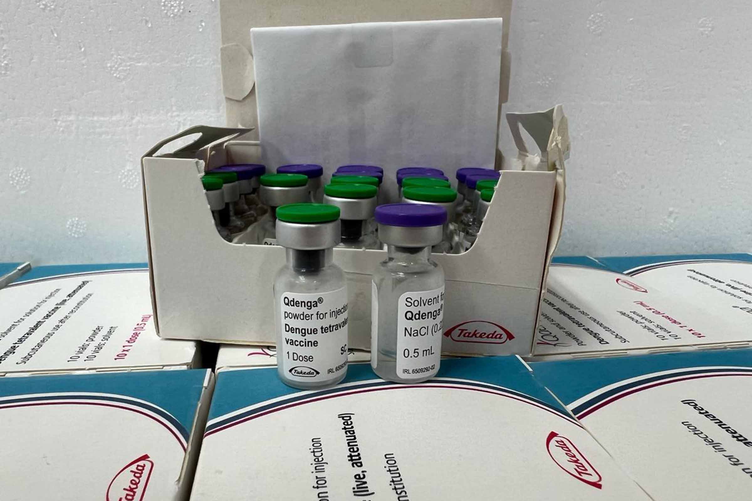 Vacinação contra dengue na Bahia avança.