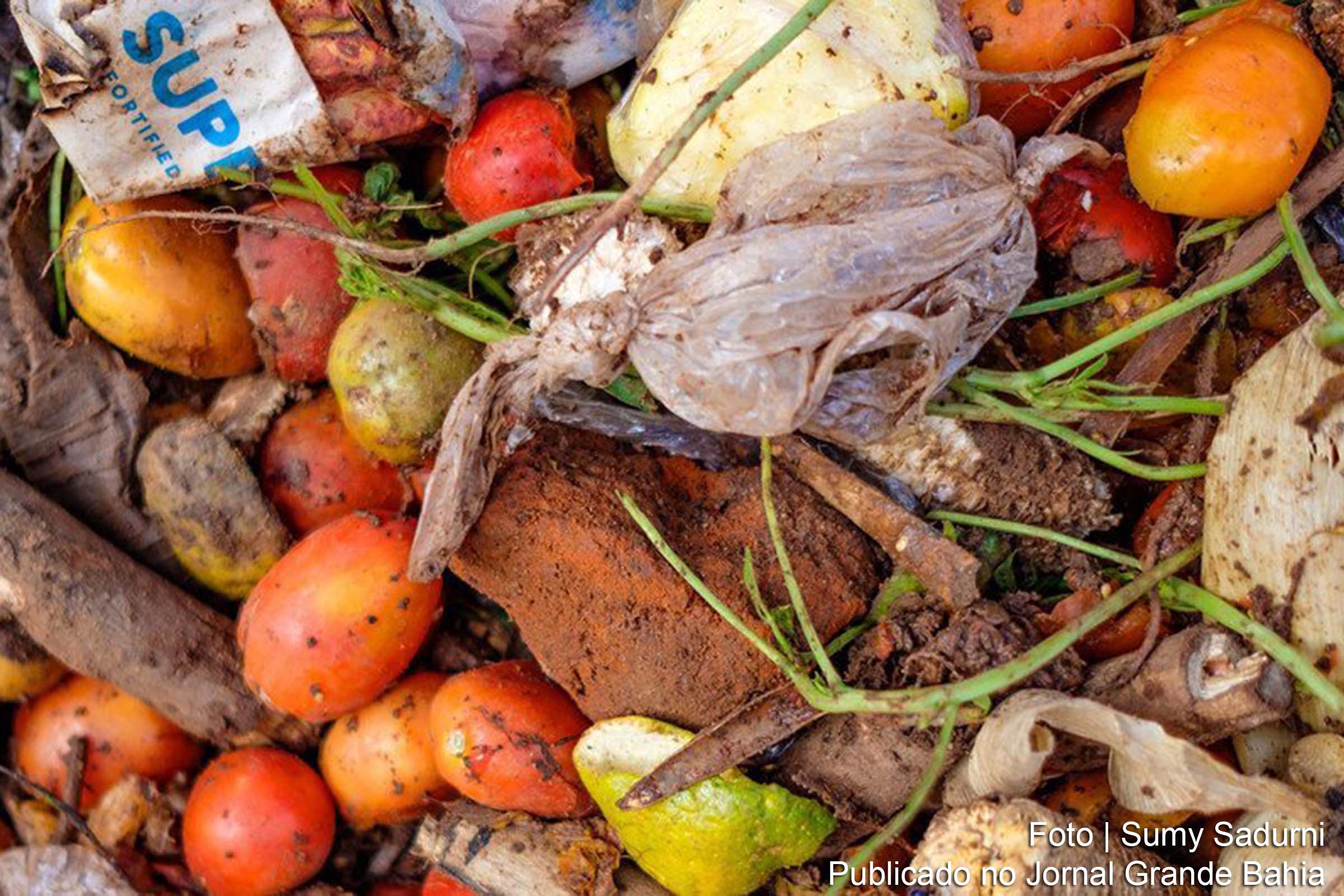 Relatório da ONU revela que mais de 1 bilhão de refeições são desperdiçadas diariamente no mundo