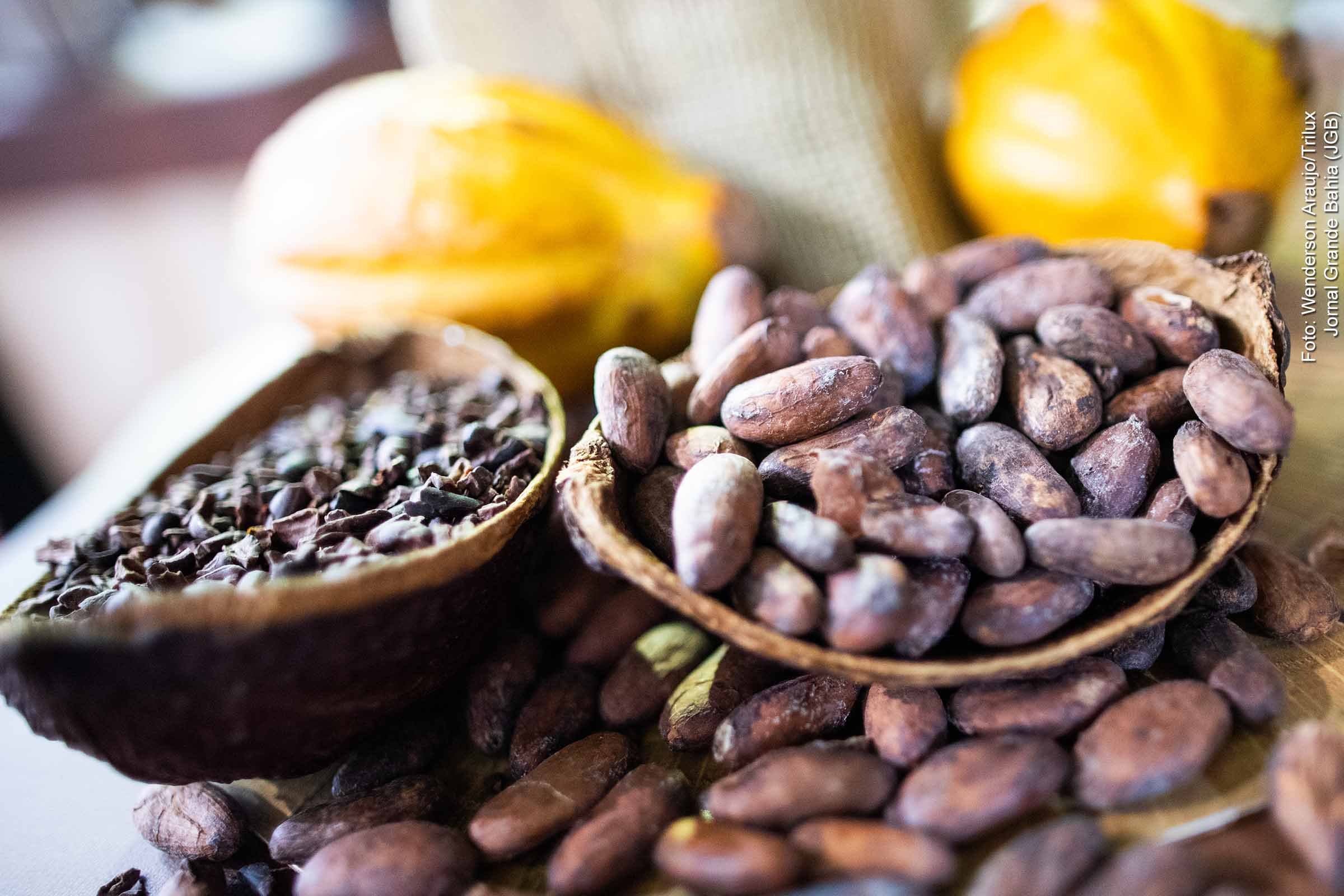 Agronegócio da Bahia cresce 4,2% em 2023 e mantém participação na economia regional