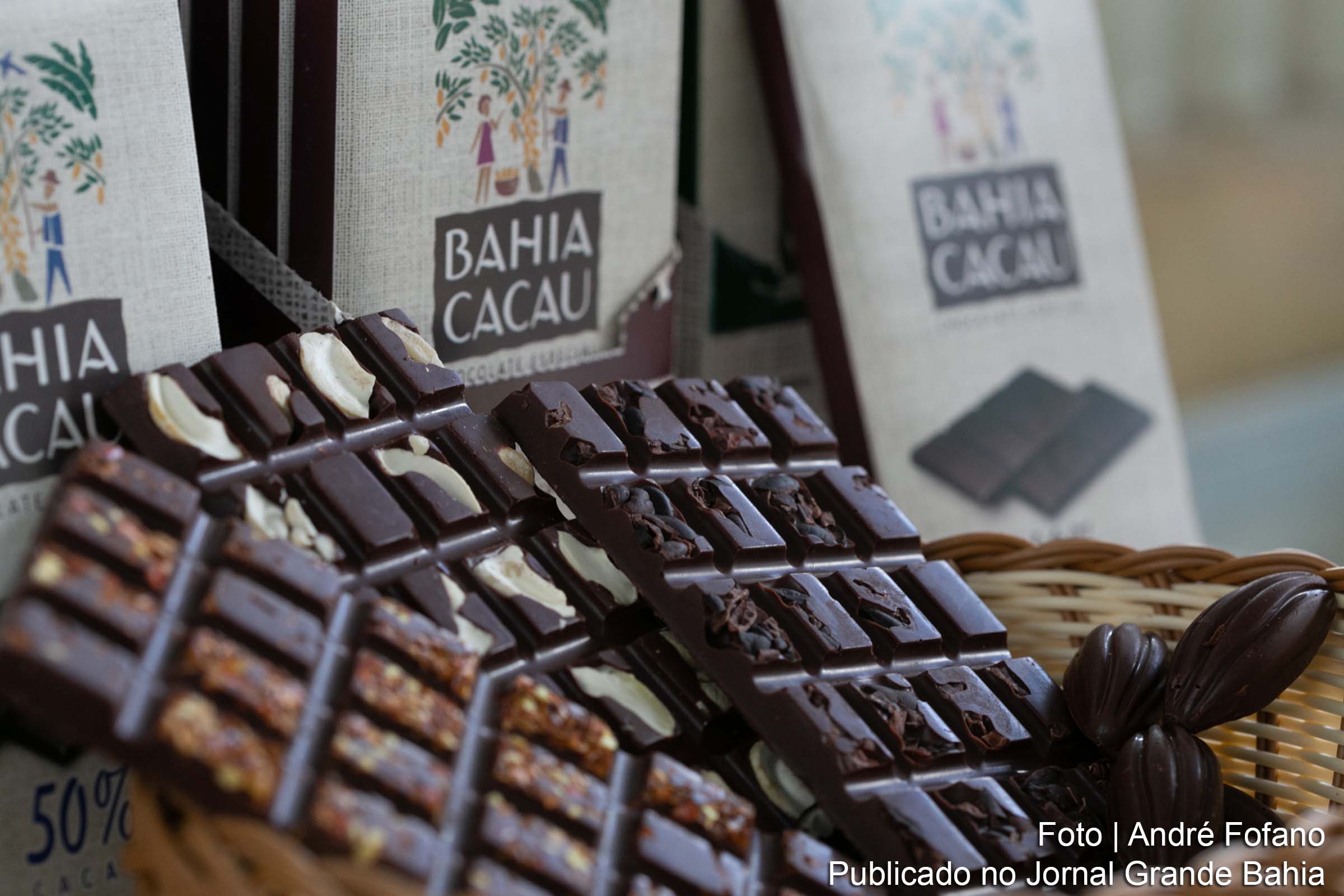 Produção de chocolates de qualidade na Bahia ganha destaque com agricultura familiar