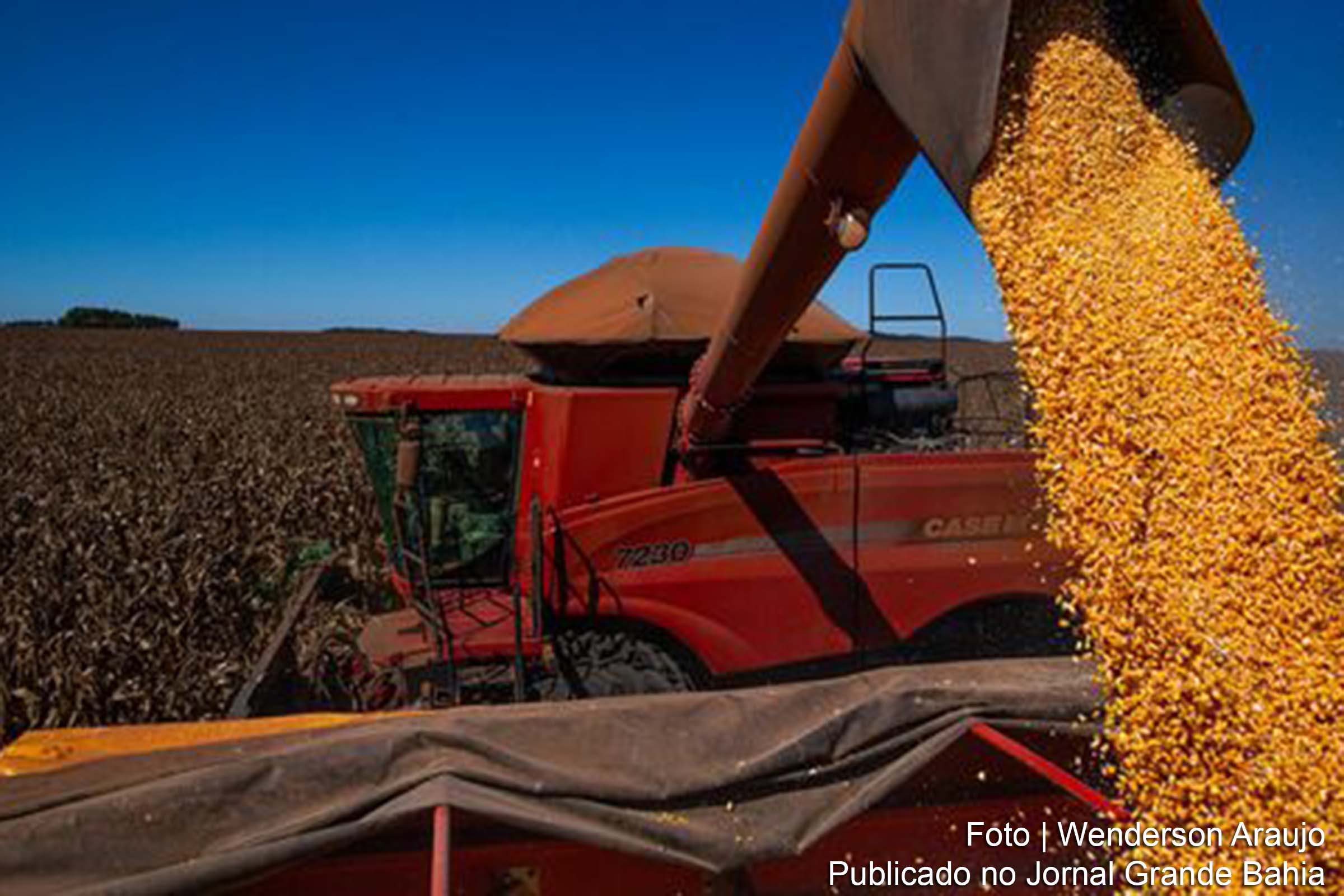 Confederação da Agricultura e Pecuária do Brasil (CNA) destaca simplificação de impostos e legislação sobre propriedade como temas prioritários para o setor agro.
