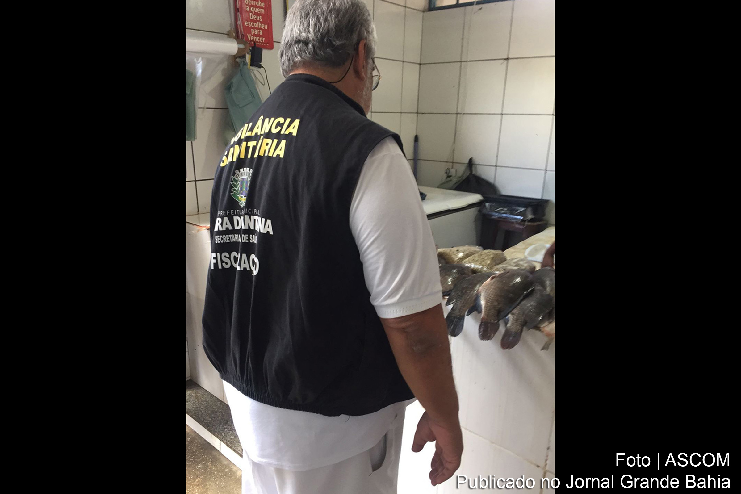 Vigilância Sanitária de Feira de Santana fiscaliza venda de peixes para a Páscoa