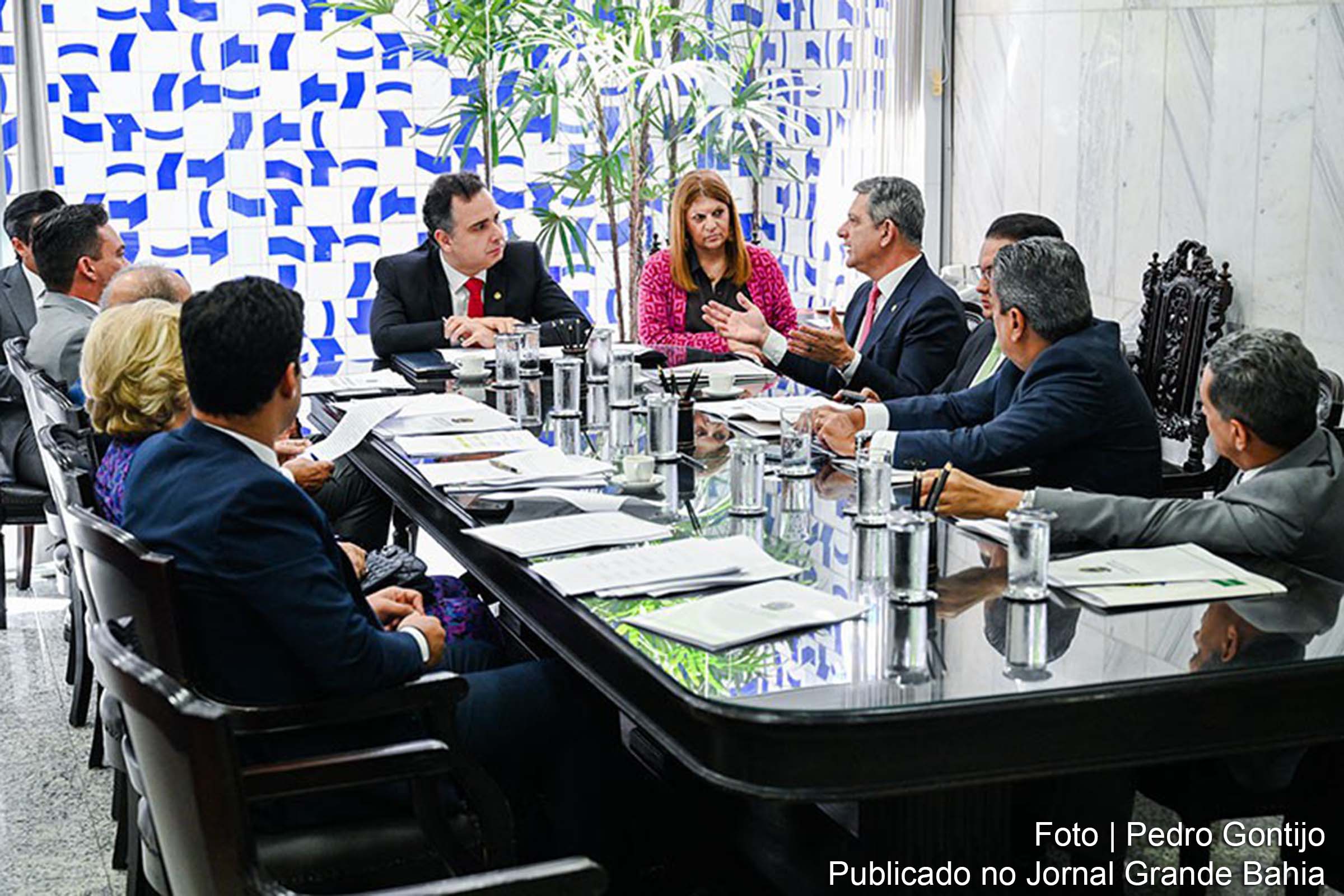Comissão também aprovou o projeto que institui a Frente Parlamentar Mista em Defesa da Pessoa Idosa.