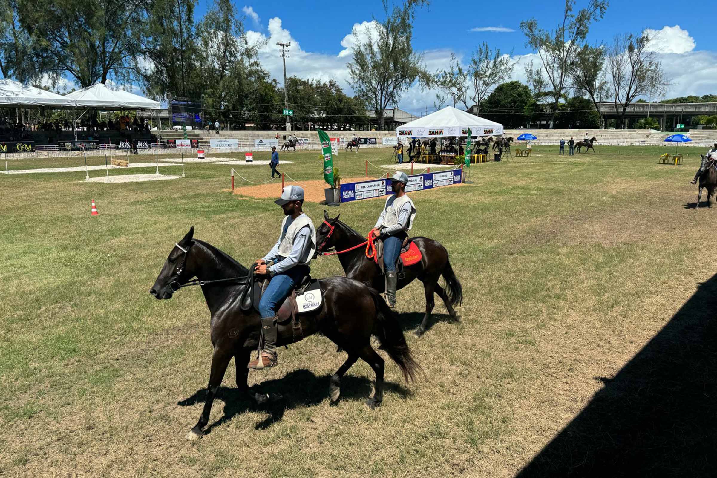 A exposição especializada do Cavalo Mangalarga Marchador da Bahia atrai expositores e visitantes de diversos estados nordestinos.
