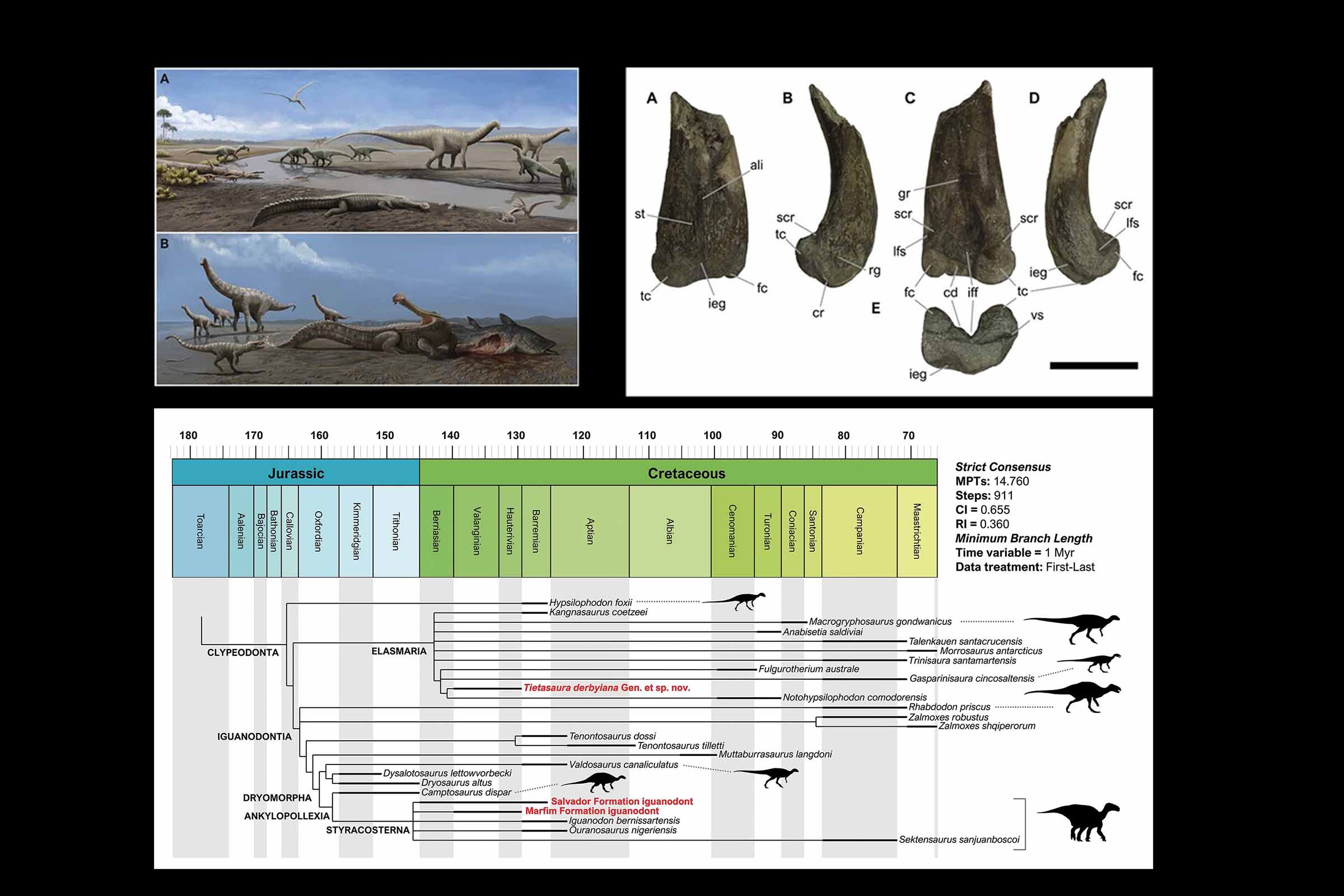 Pesquisadores batizaram fósseis de Tietasaura, em homenagem à icônica personagem "Tieta do Agreste".