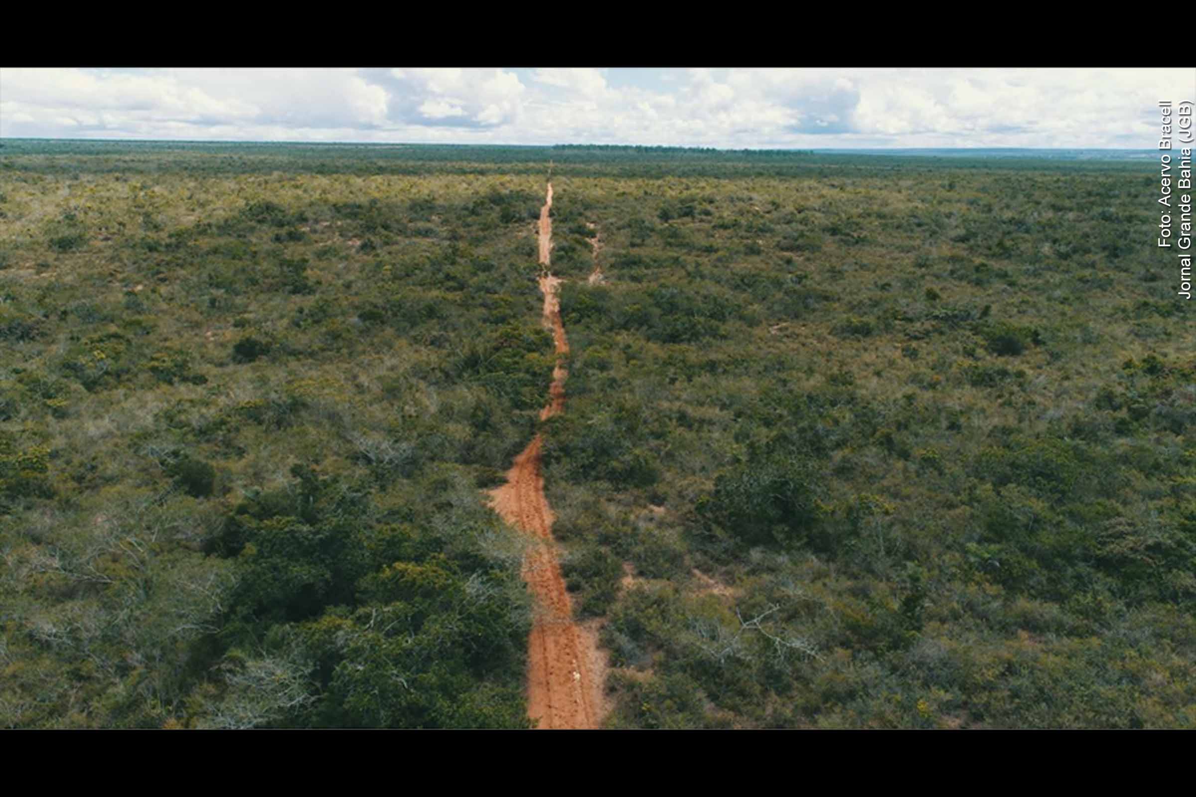 Nova área de soltura de animais silvestres protege biodiversidade na Bahia; 678 hectares em Água Fria foram certificados