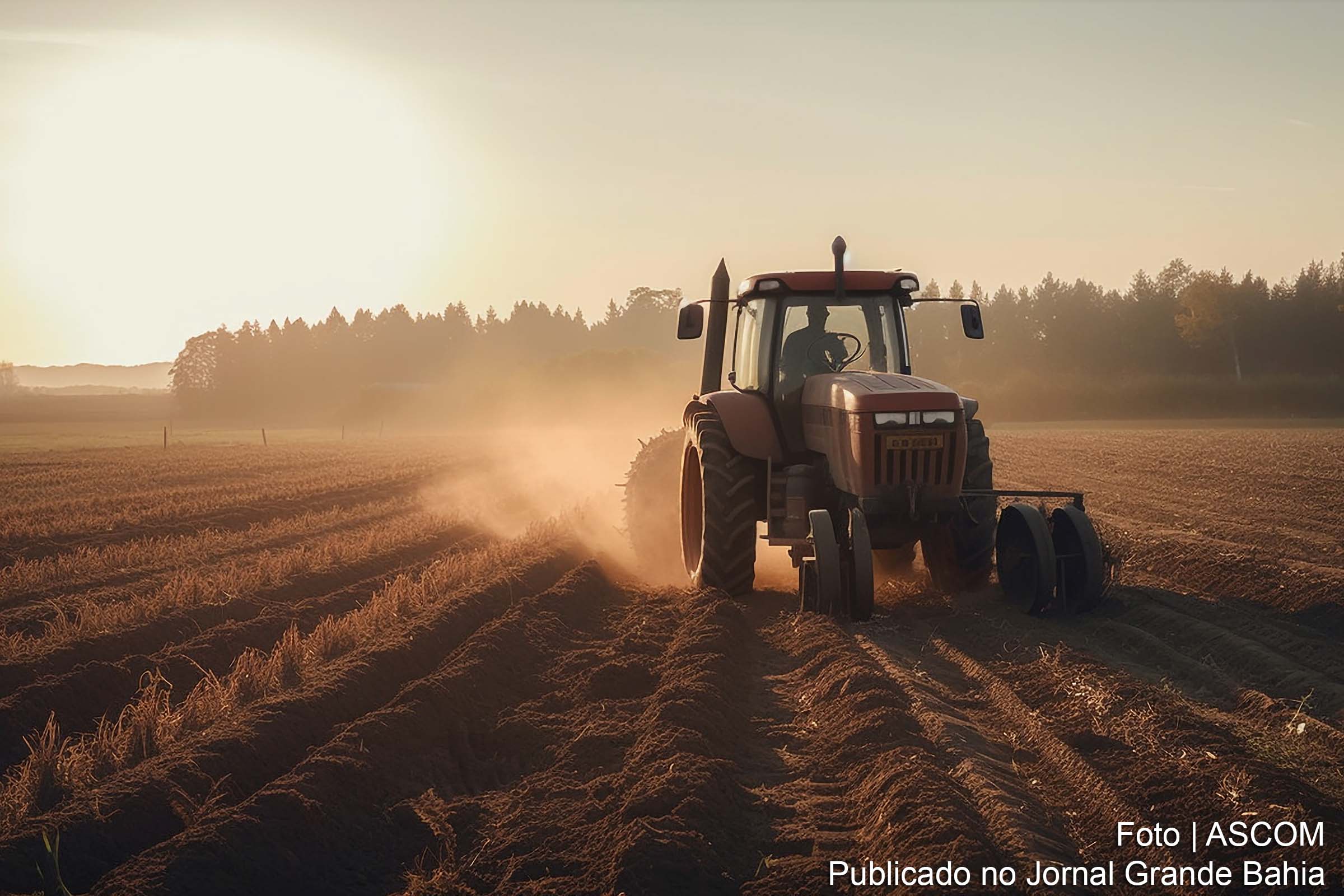 Em entrevista exclusiva ao Canal Rural, ministro Carlos Fávaro ressalta os avanços na abertura de mercados para o agronegócio brasileiro e projeta o anúncio do maior Plano Safra já visto até o fim do primeiro semestre.
