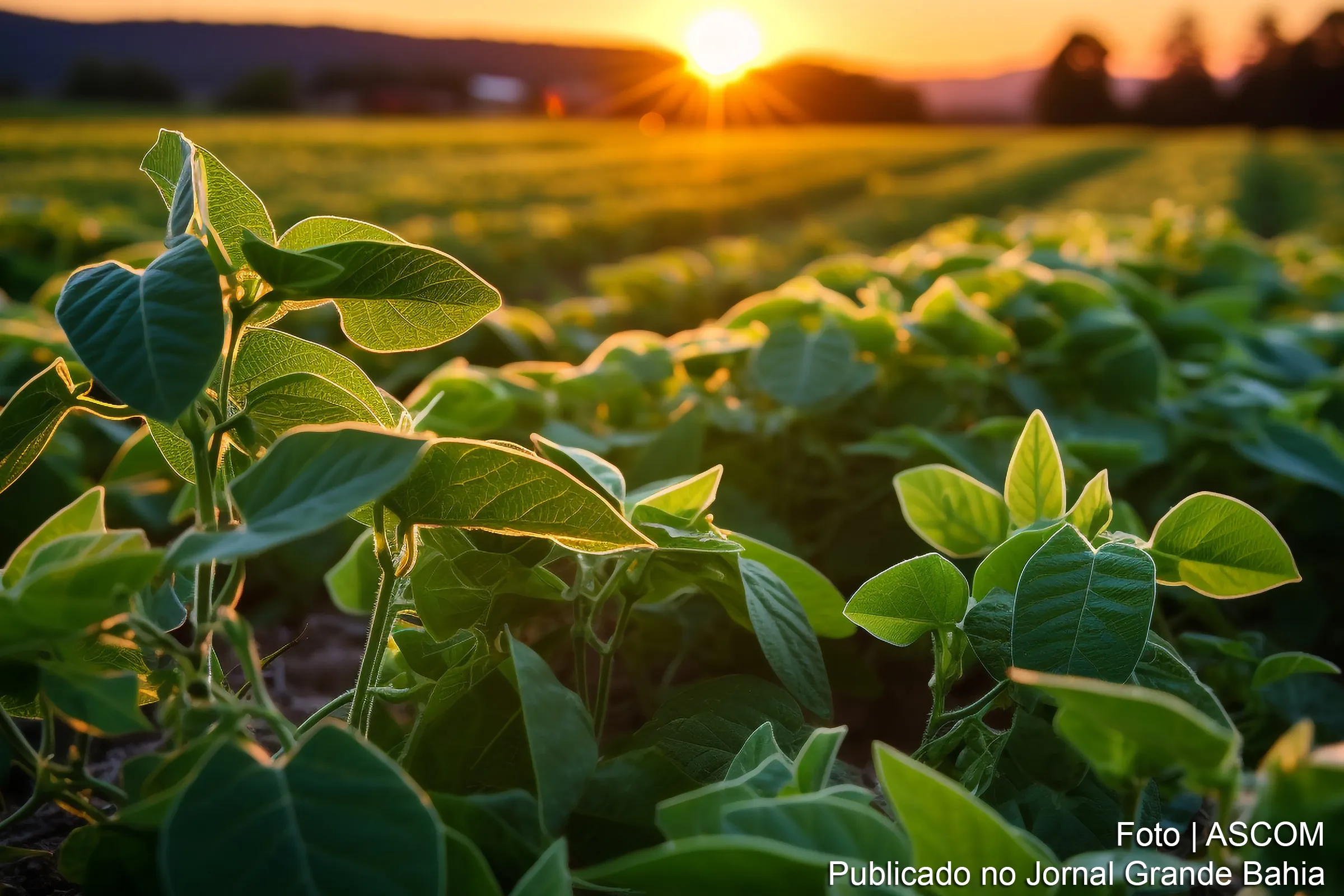 Palestra de especialista alerta sobre desertificação do solo e impactos na agricultura de Feira de Santana
