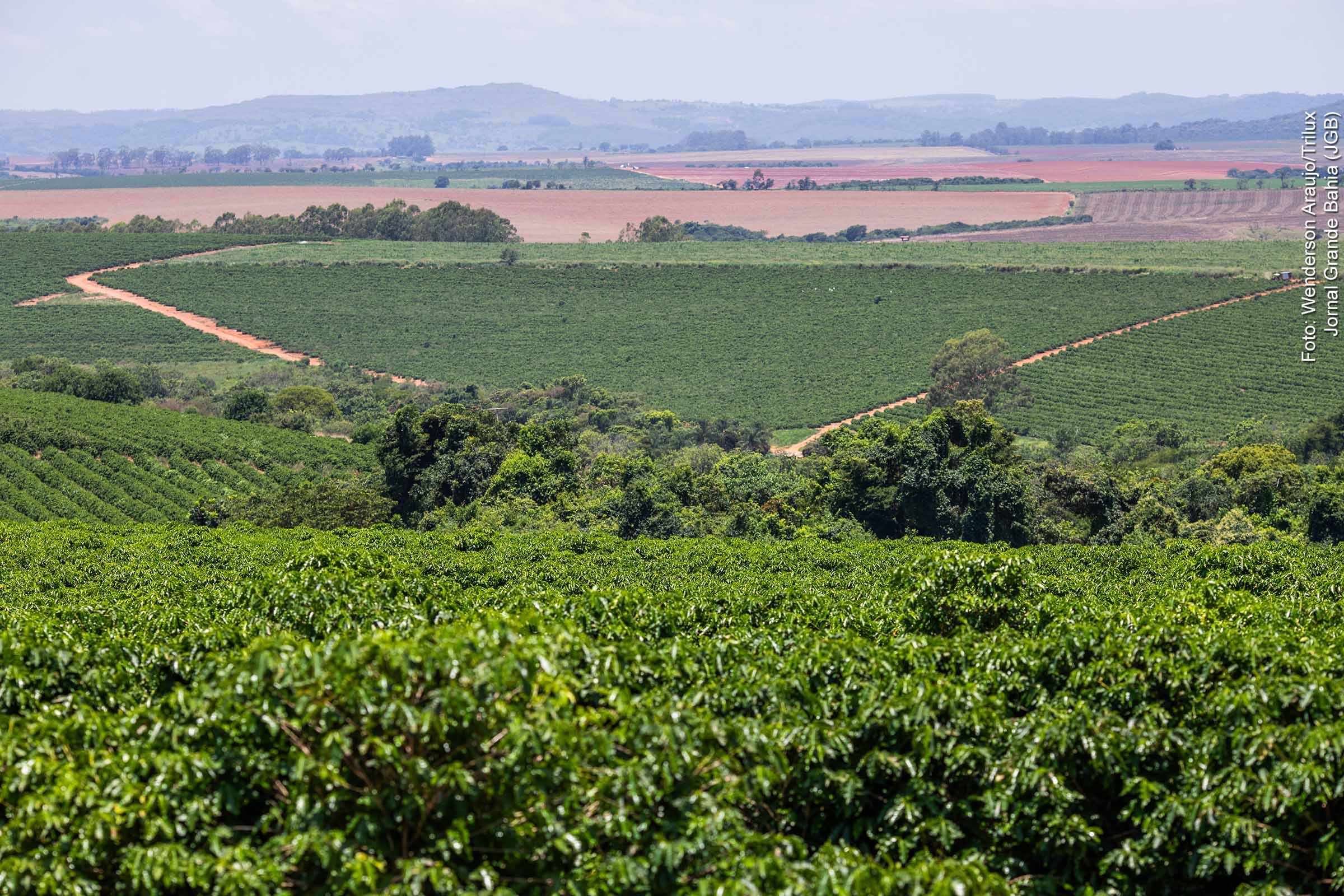 Desembolso do crédito rural chega a R$ 347,2 bilhões em 10 meses, aponta Mapa