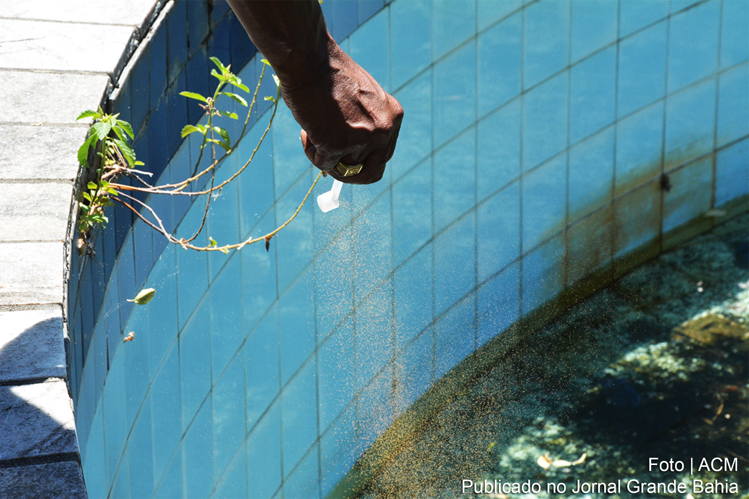 Aumento de casos de dengue preocupa autoridades de saúde em Feira de Santana.
