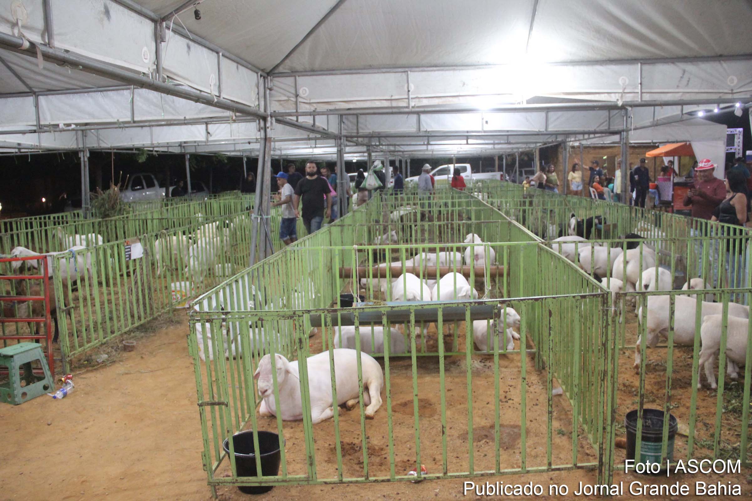 A Feira do Bode de Itamotinga em Juazeiro, encerrada no domingo, é considerada um sucesso pela comunidade, atraindo um grande público e impulsionando negócios.