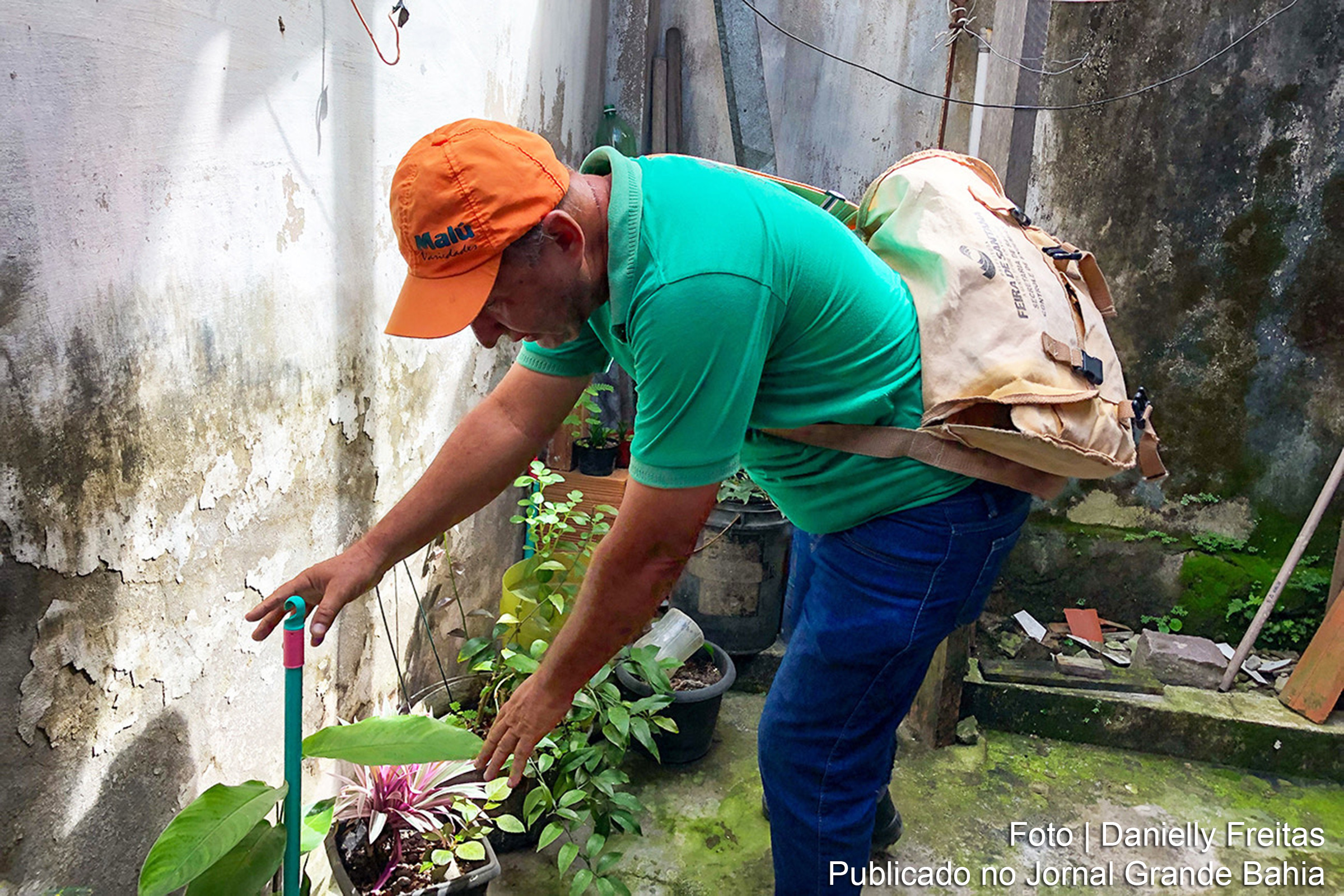 Dados da Vigilância Epidemiológica Municipal revelam esforço contínuo contra a dengue na cidade.