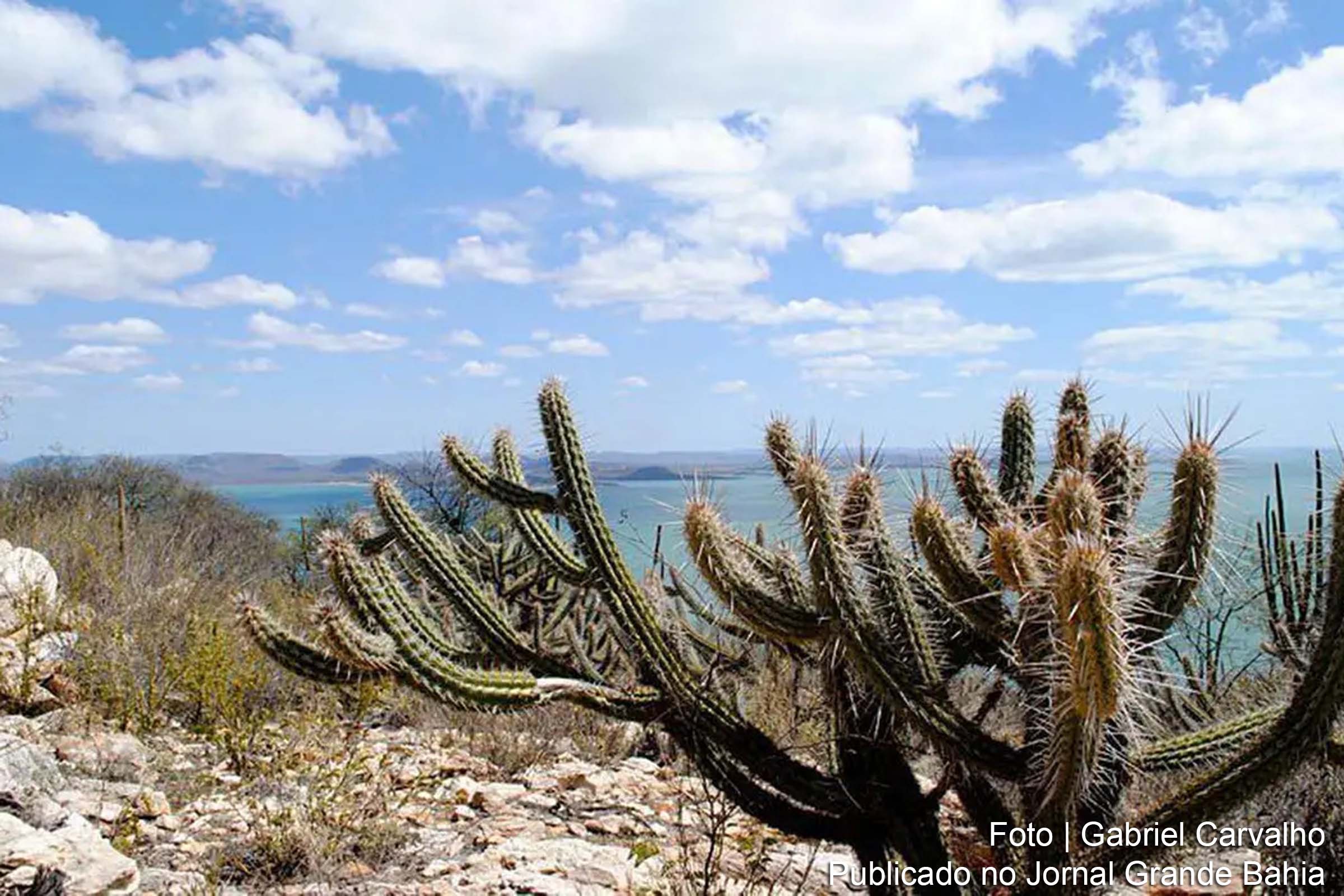 Governo federal retomou o Programa Cisternas, que visa ampliar o acesso à água para consumo e produção de alimentos nas áreas mais afetadas pela seca.
