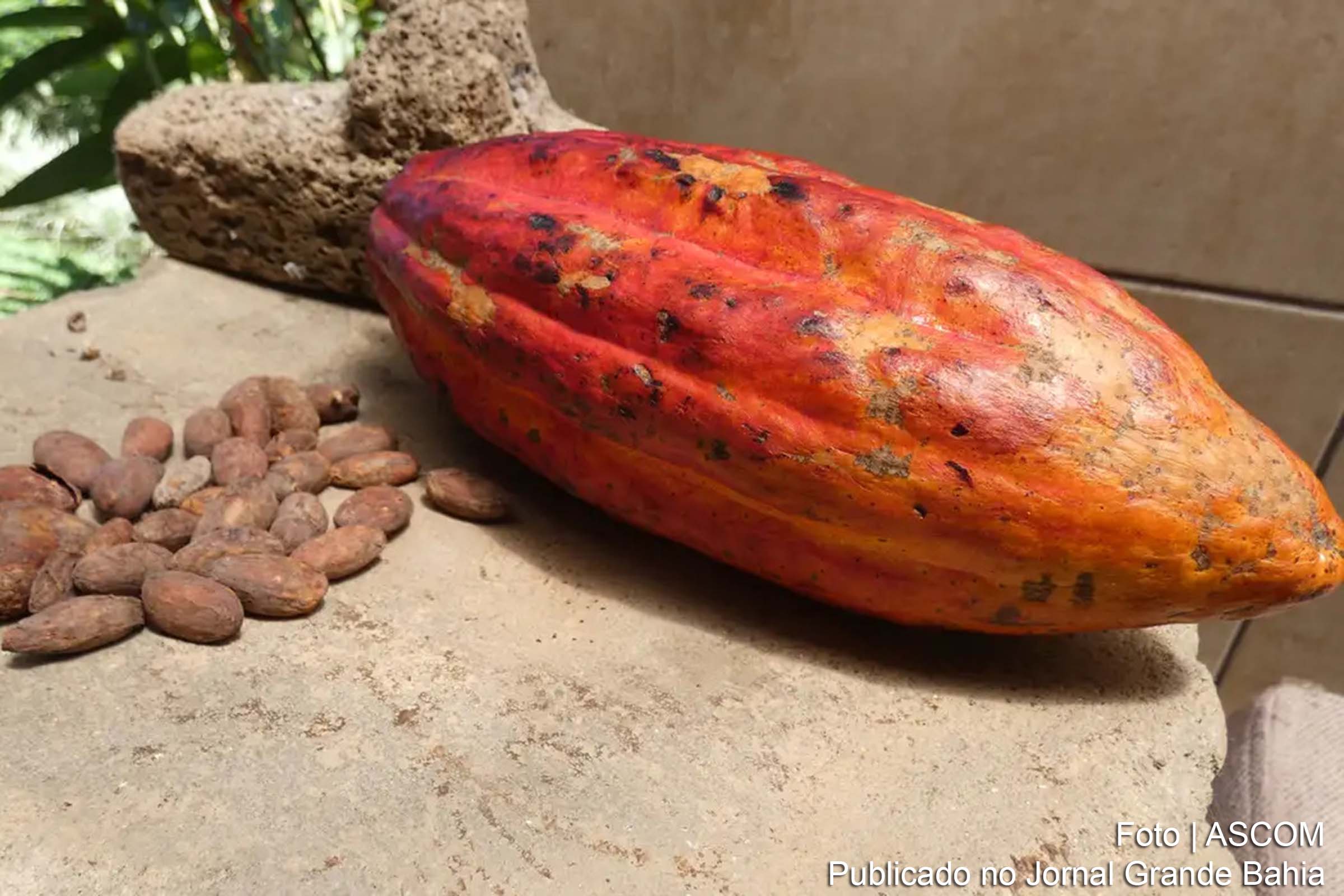 Empresas investem na bioeconomia como modelo de desenvolvimento sustentável